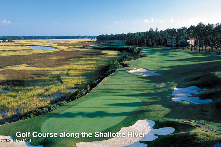 100570366 | Photo 22