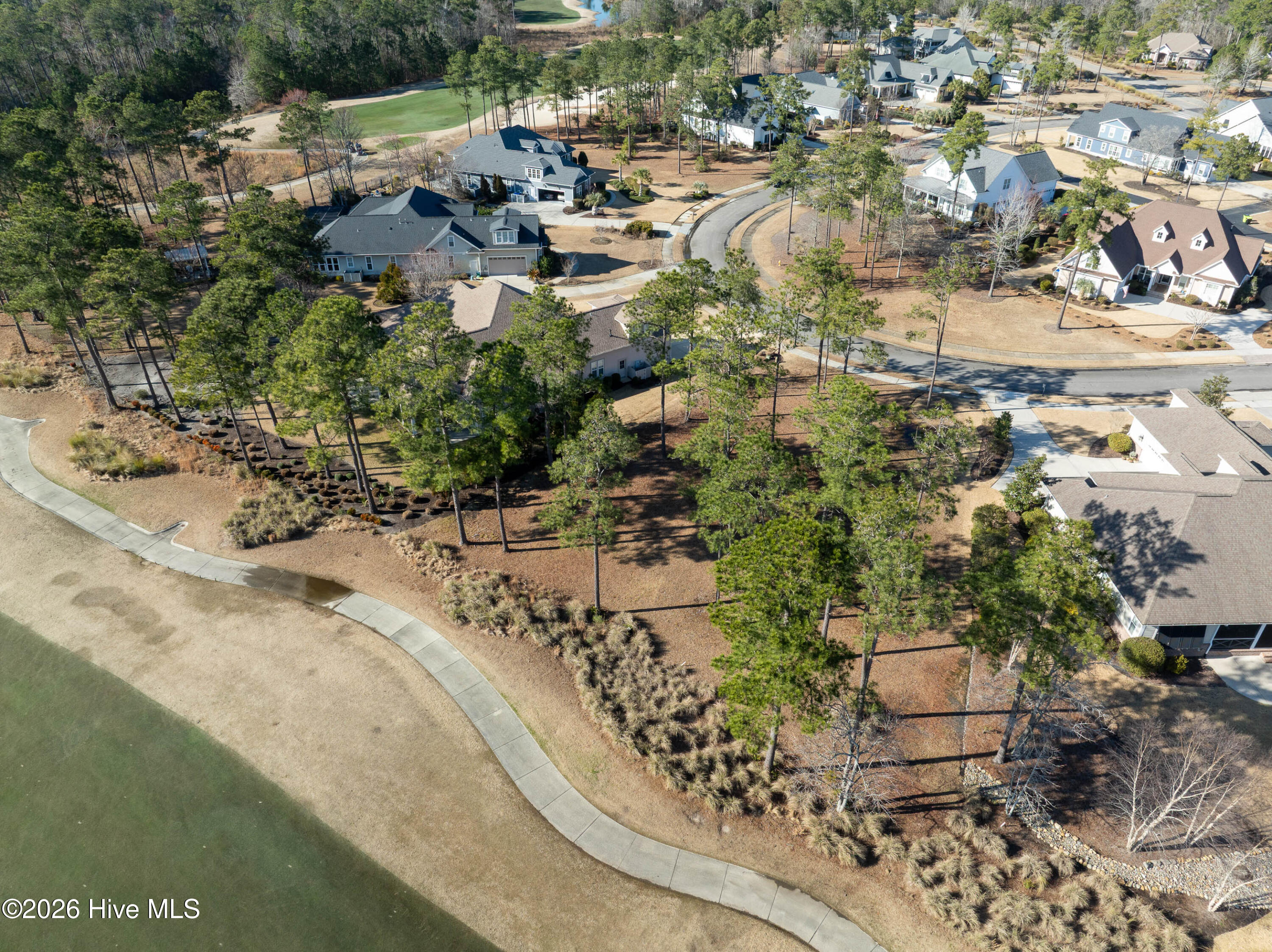 100557146 | Photo 13