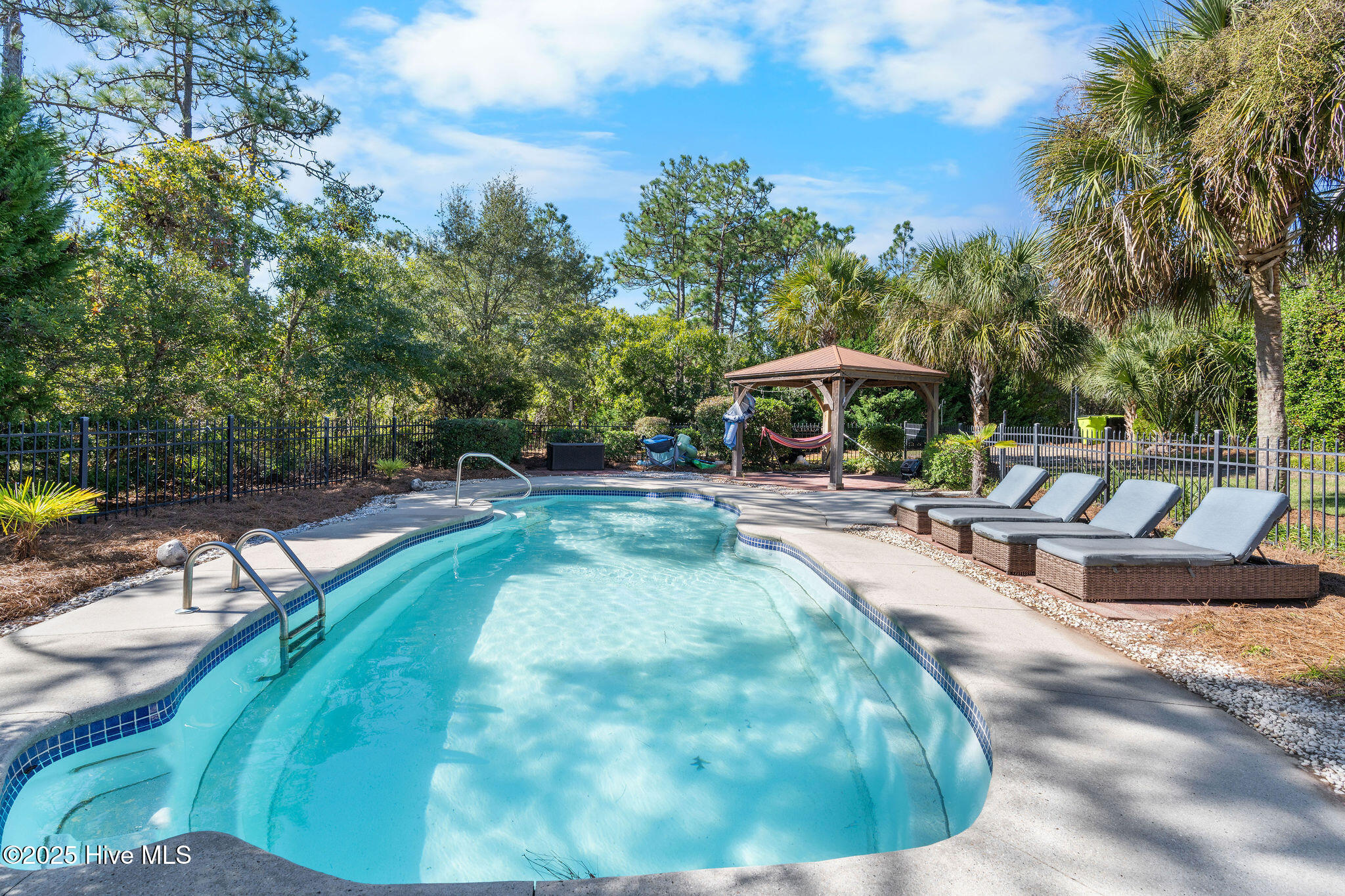 100539157 | Photo 19