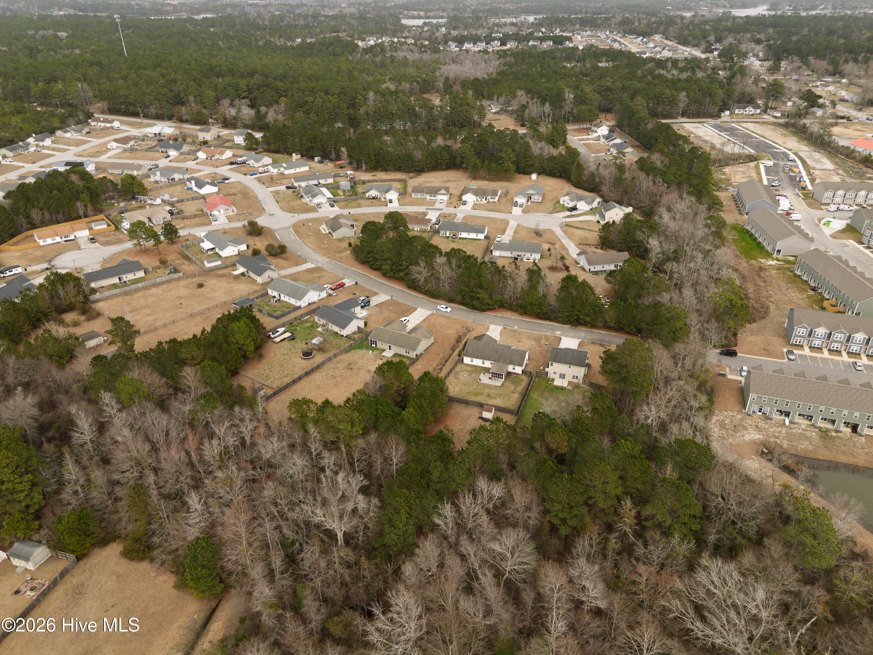 100557262 | Photo 66