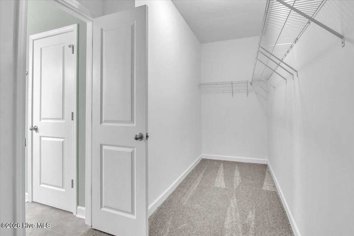 100551276 | Photo 24