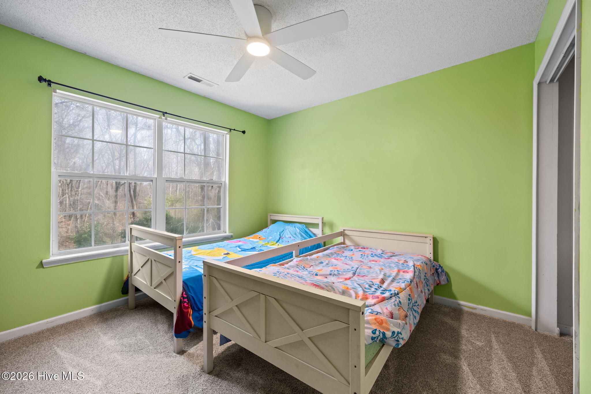 100552241 | Photo 29