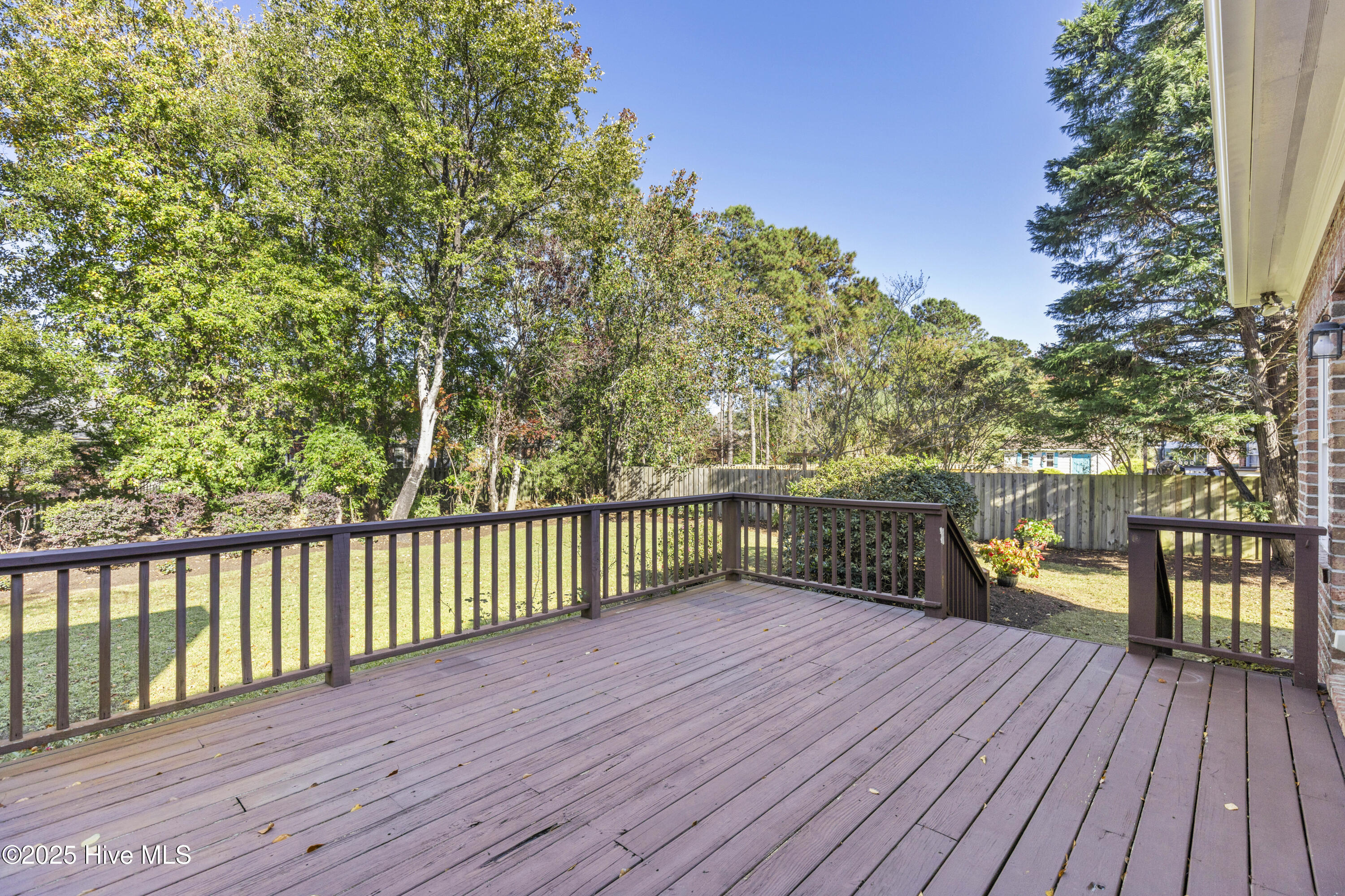 100539771 | Photo 44