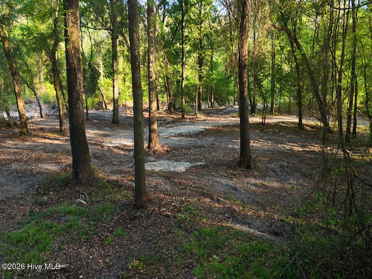 0 Durwood Evans Road, Beulaville, NC, 28518