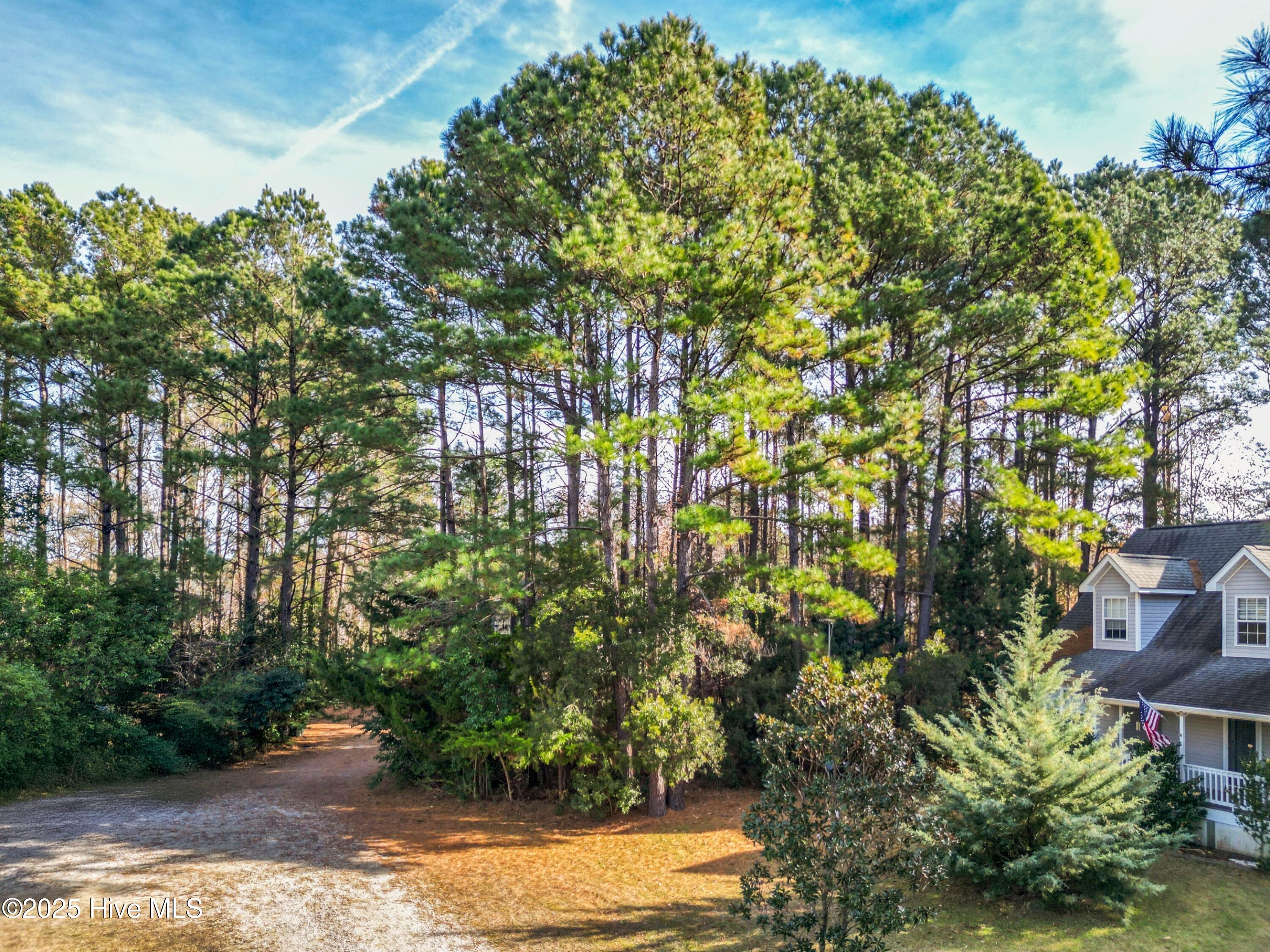 100546456 | Photo 11