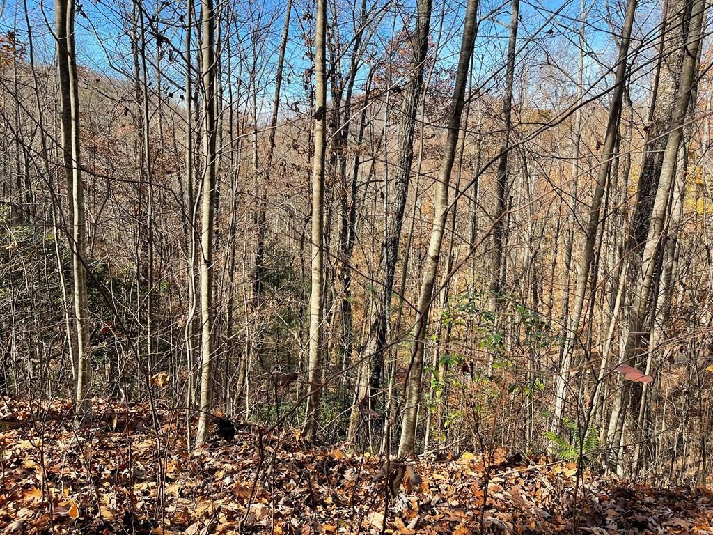 Exterior photo of Lot 49J Indian Trail, Hayesville, NC 28904. MLS: 98524858