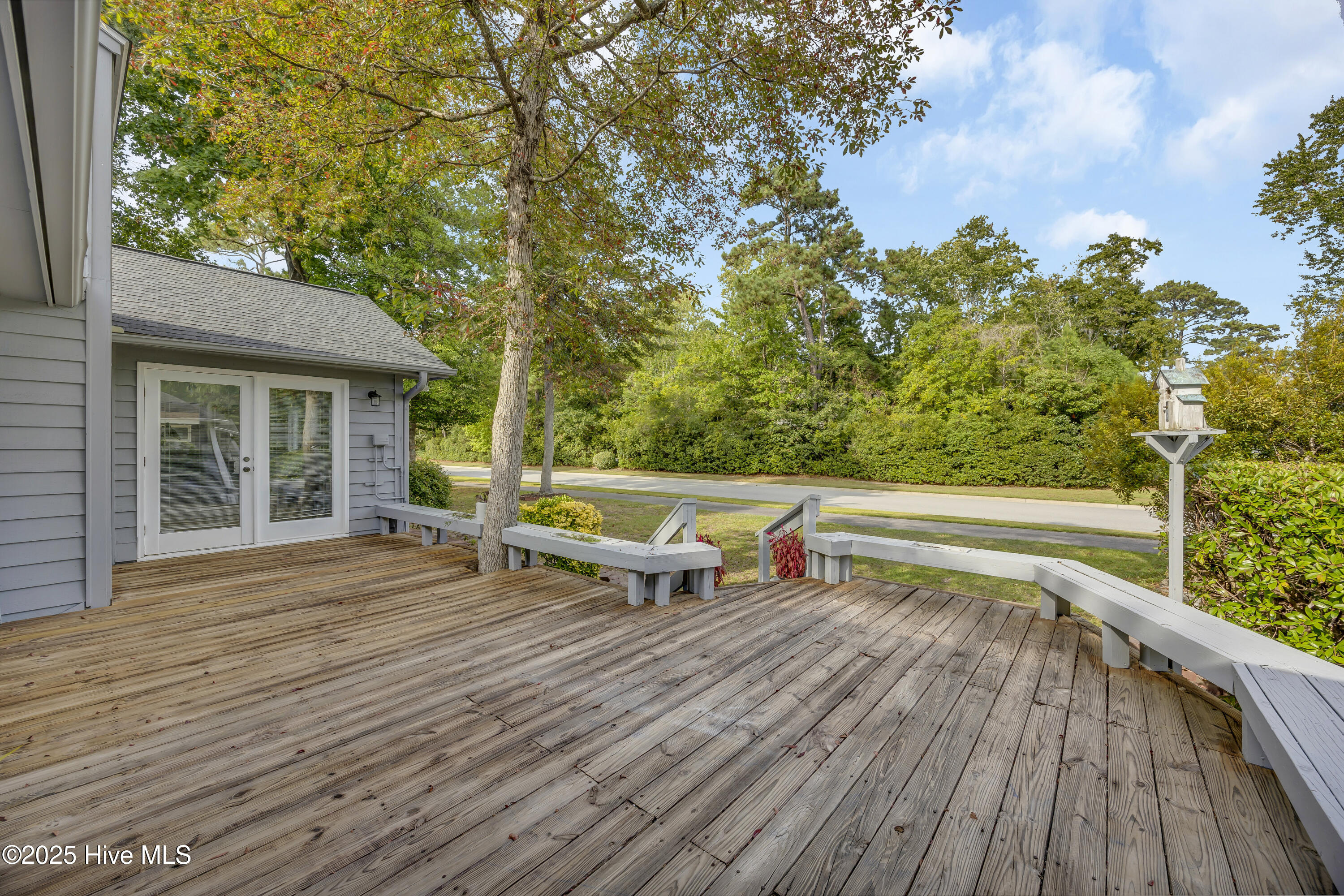 100531502 | Photo 25