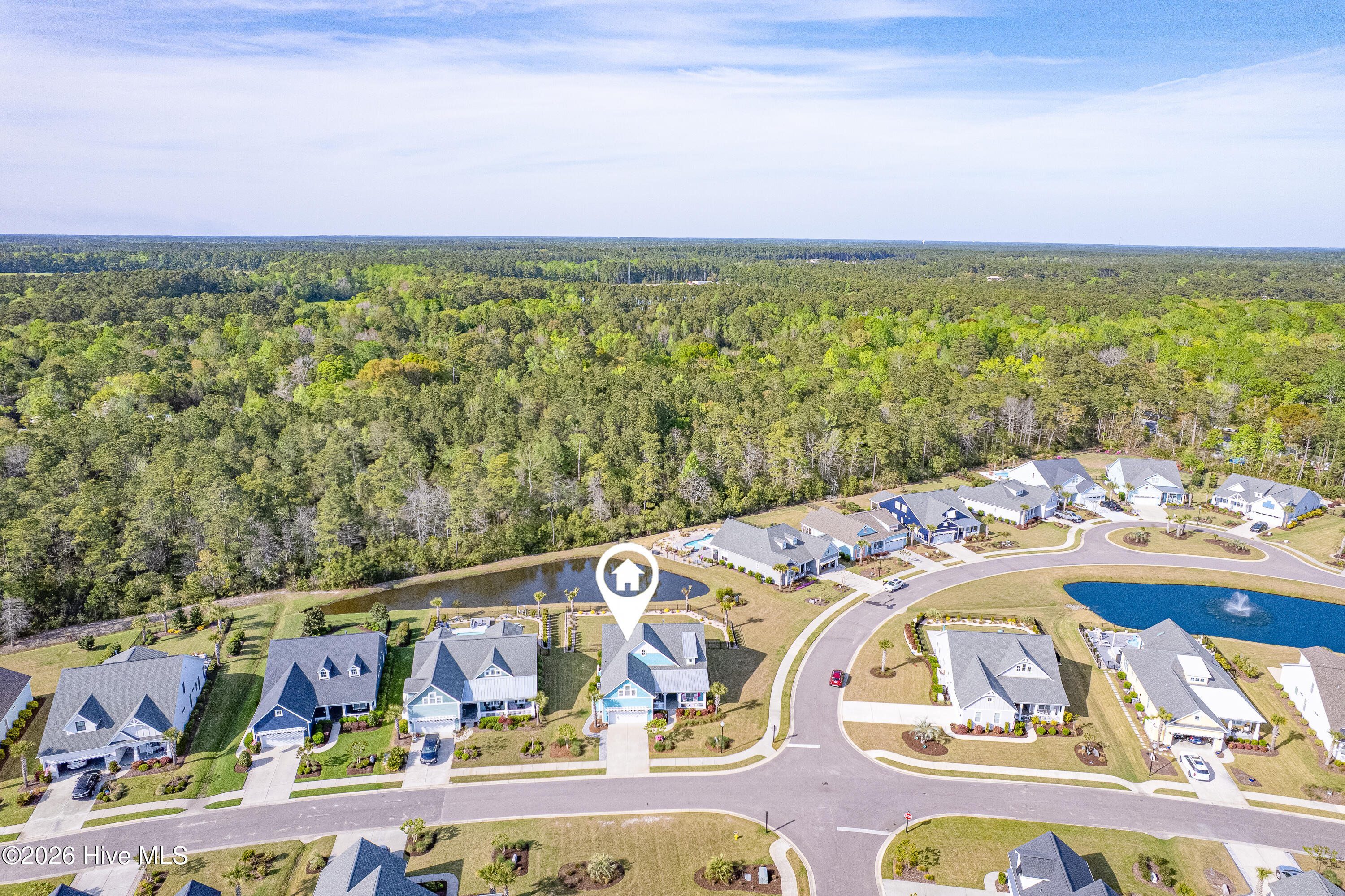 100566164 | Photo 44