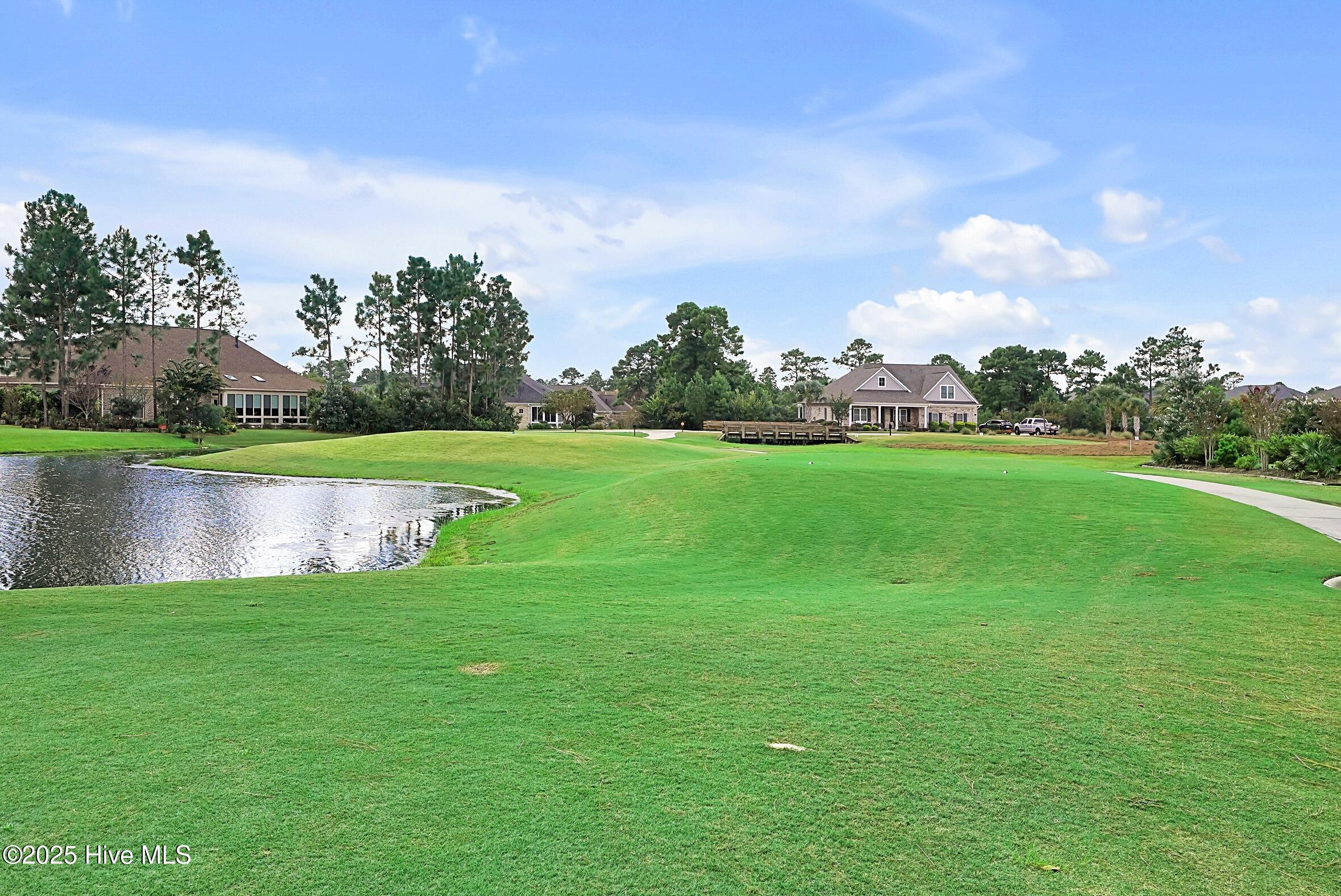 100557169 | Photo 50