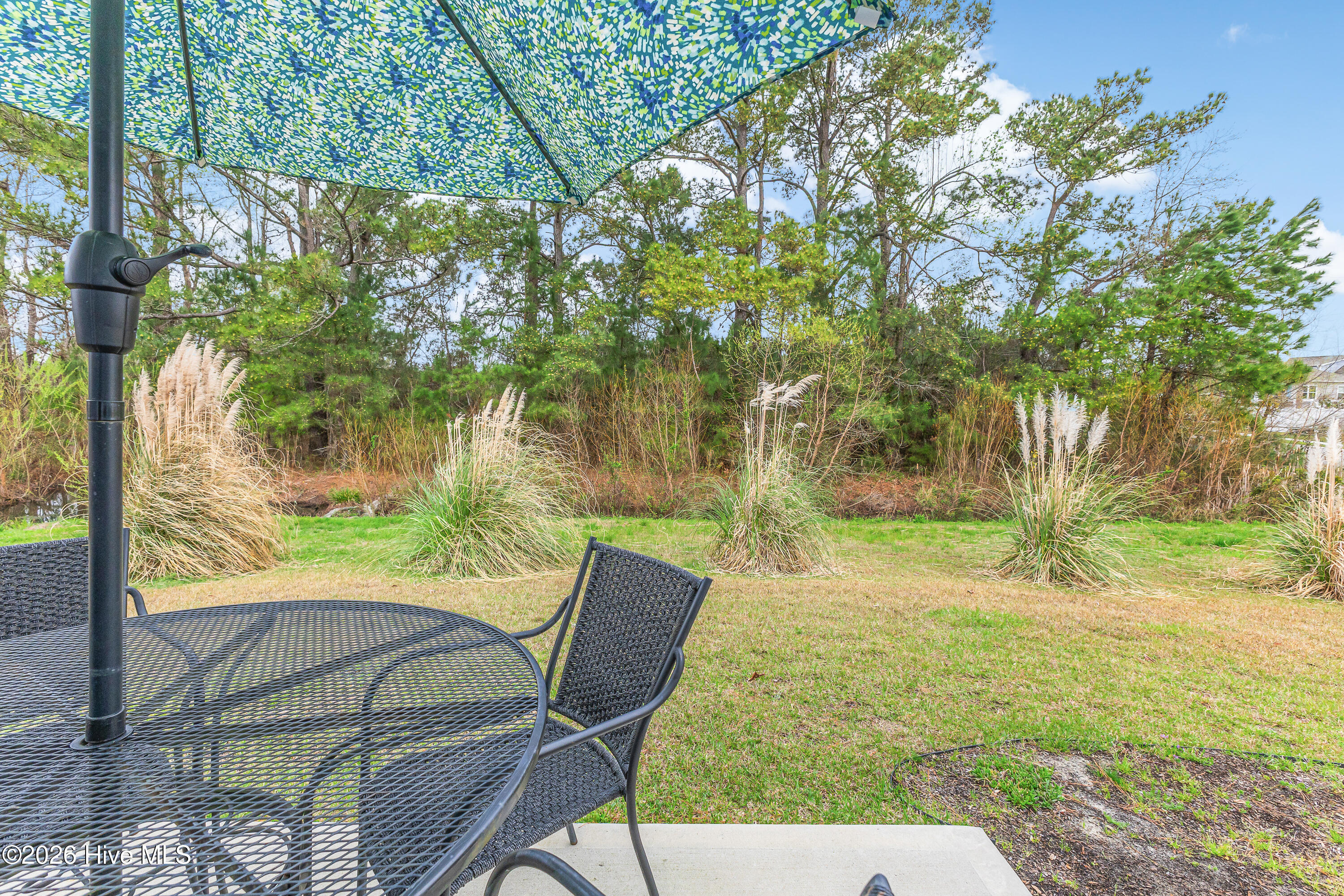 100560906 | Photo 28