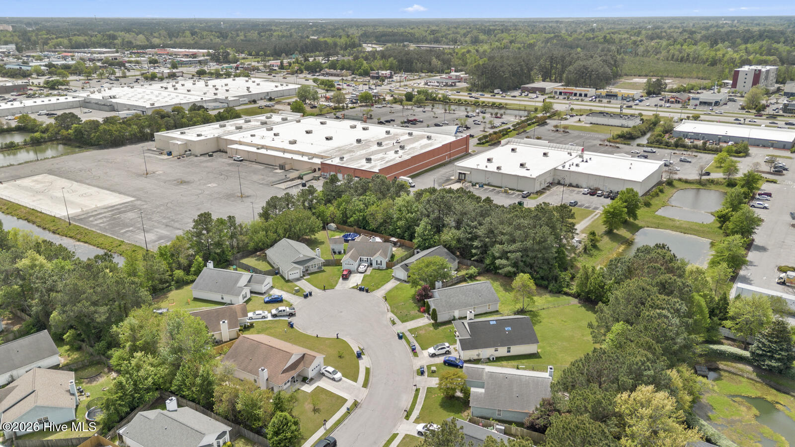 100565866 | Photo 20