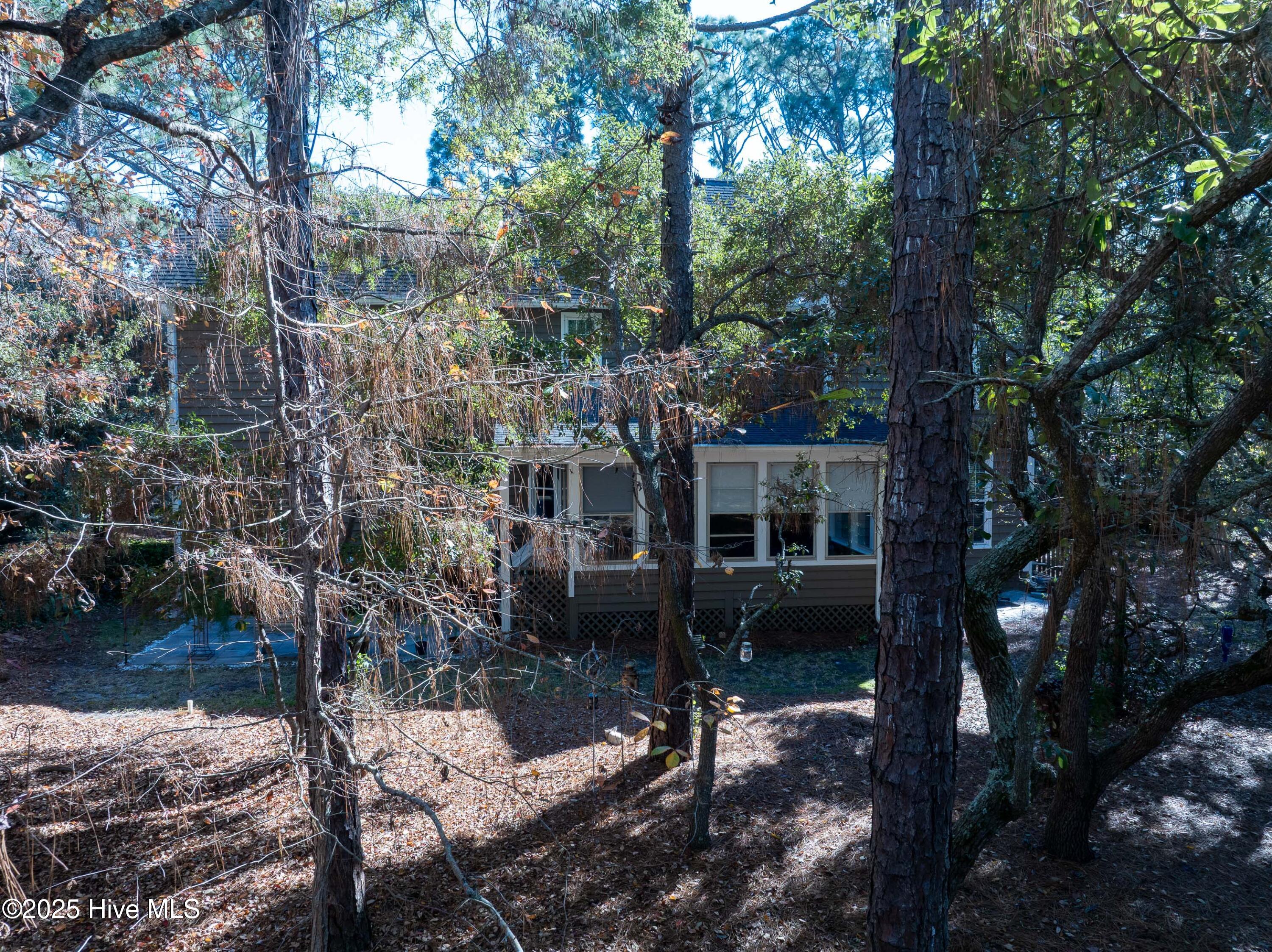 100542909 | Photo 54