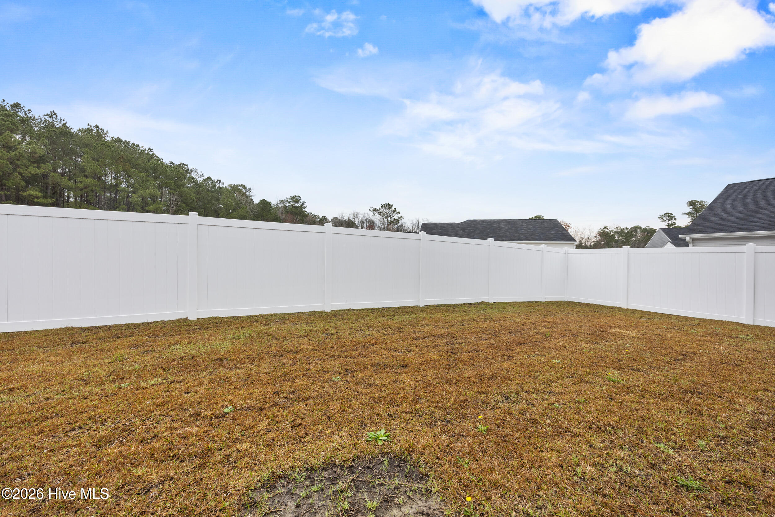 100561972 | Photo 44