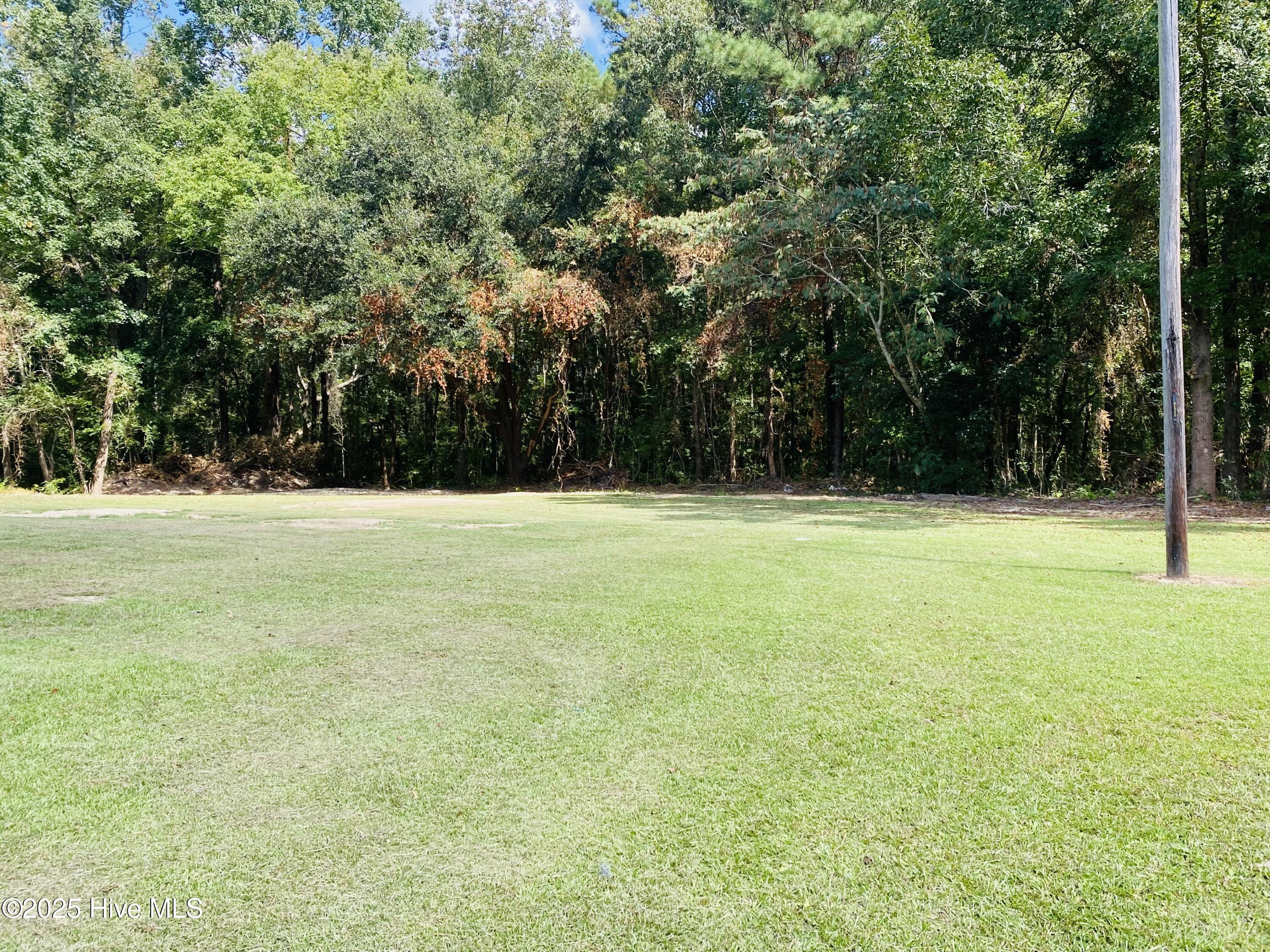 100530577 | Photo 14