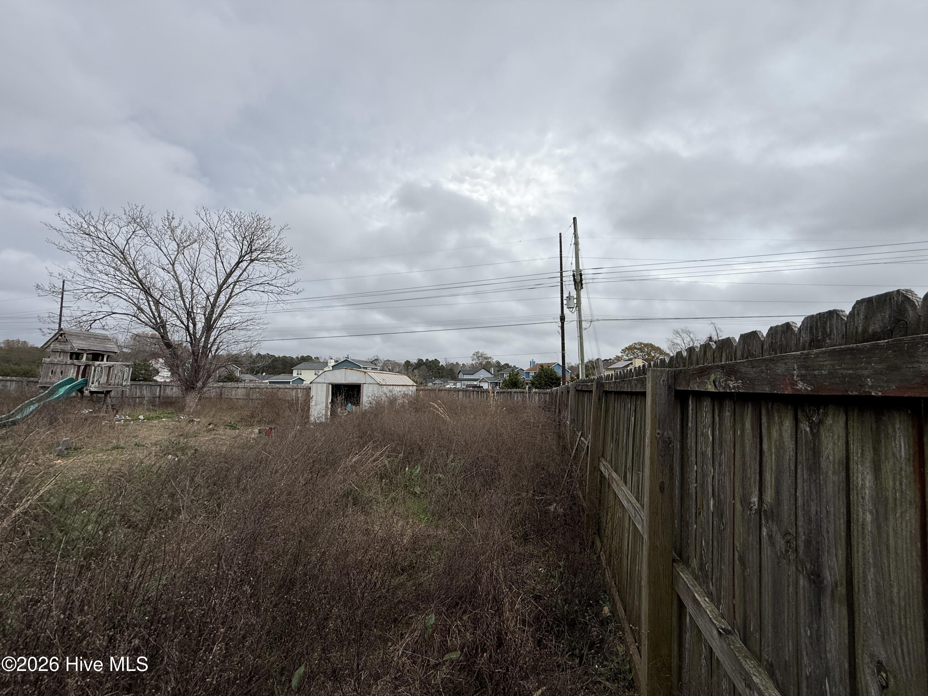 100562239 | Photo 13