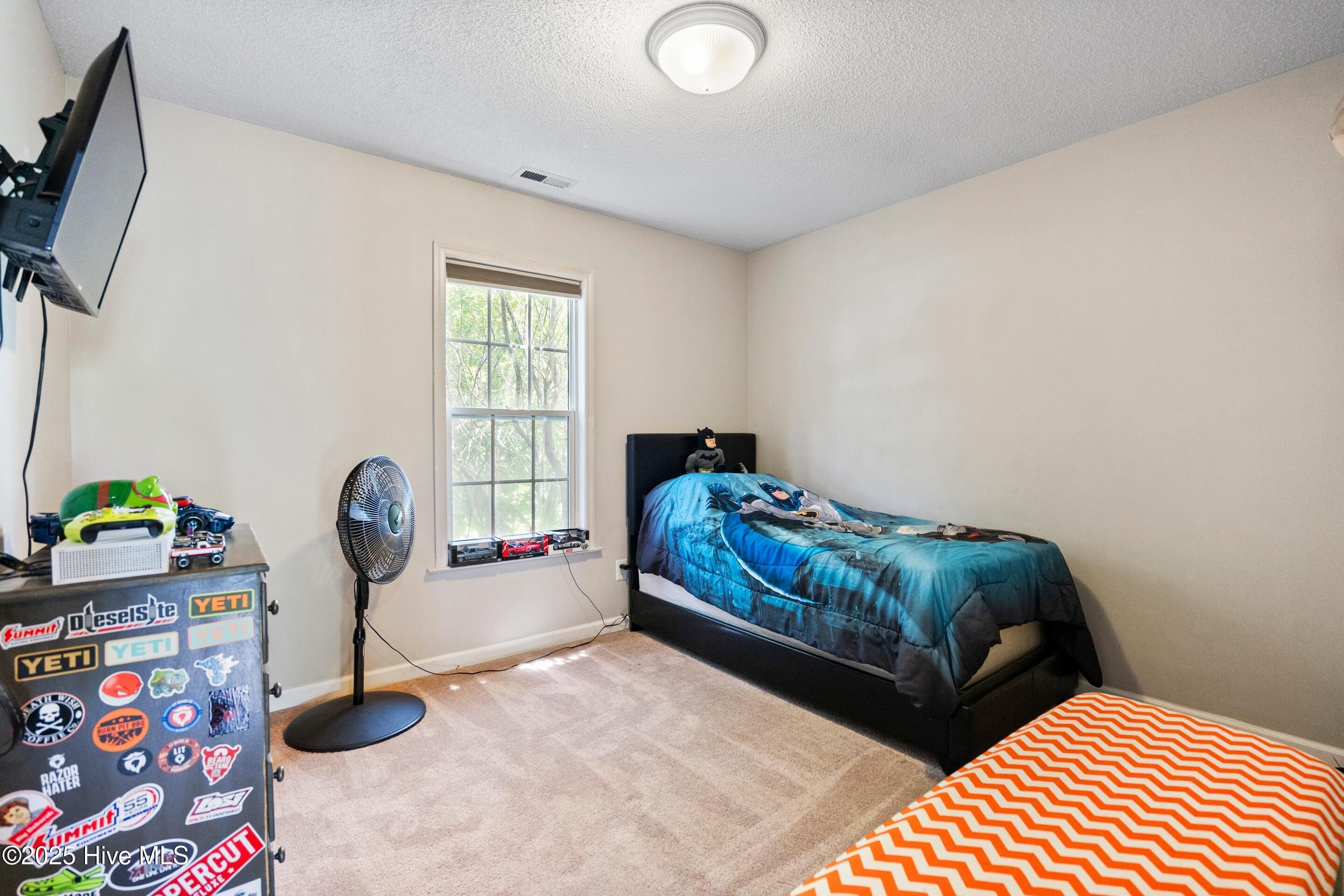 100515616 | Photo 35