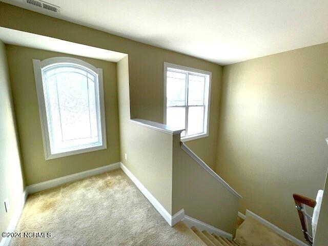 100563645 | Photo 13