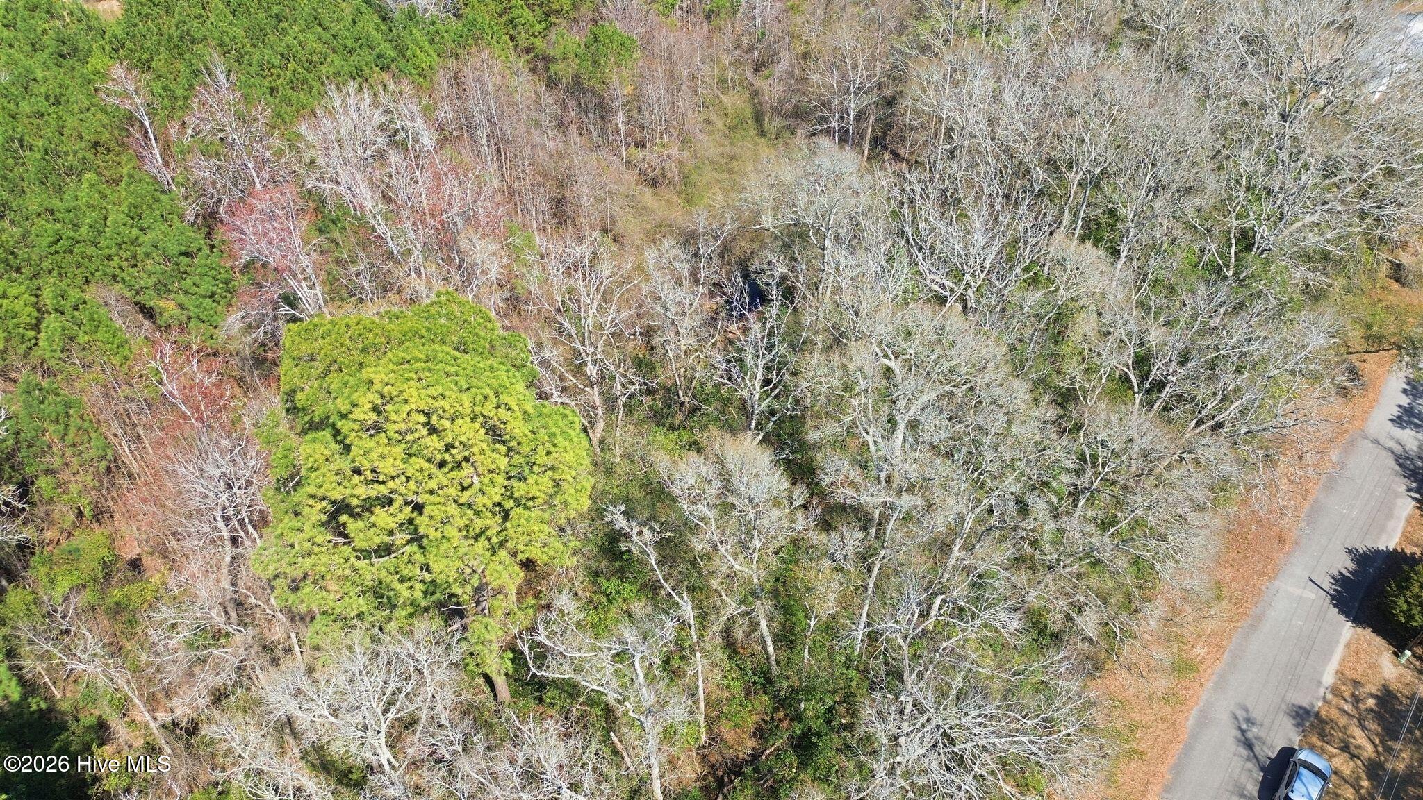 100560121 | Photo 17