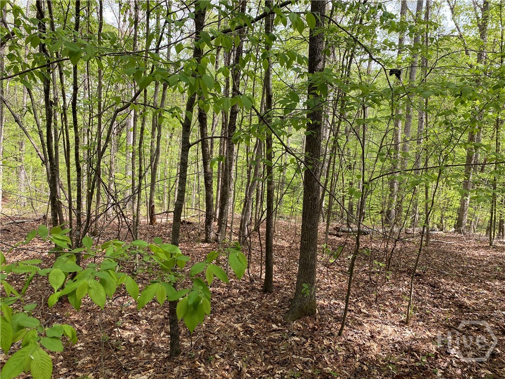 2B Curry Falls Trail Road UNIT 2B, Athens, GA, 30607