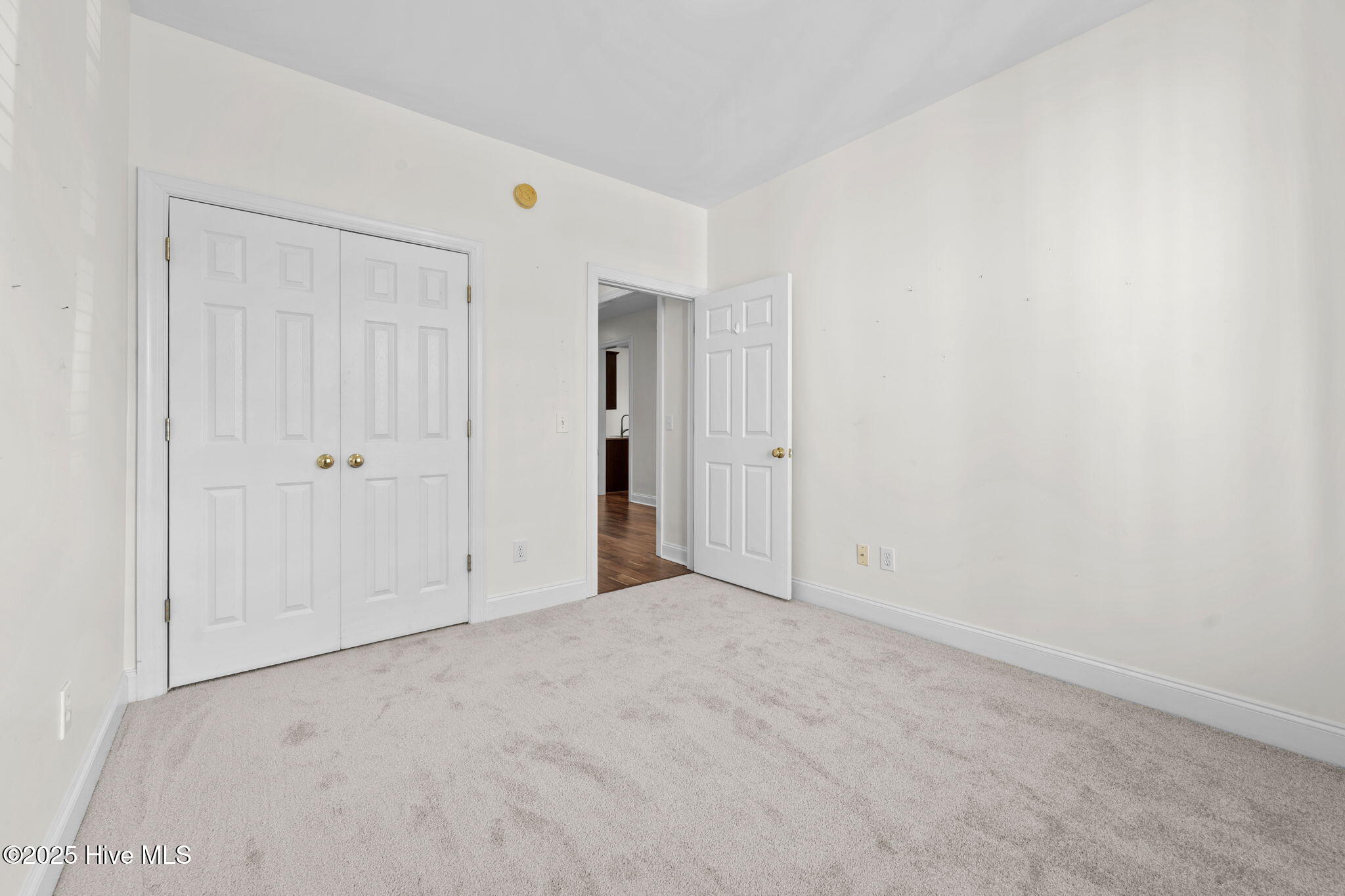 100535127 | Photo 25