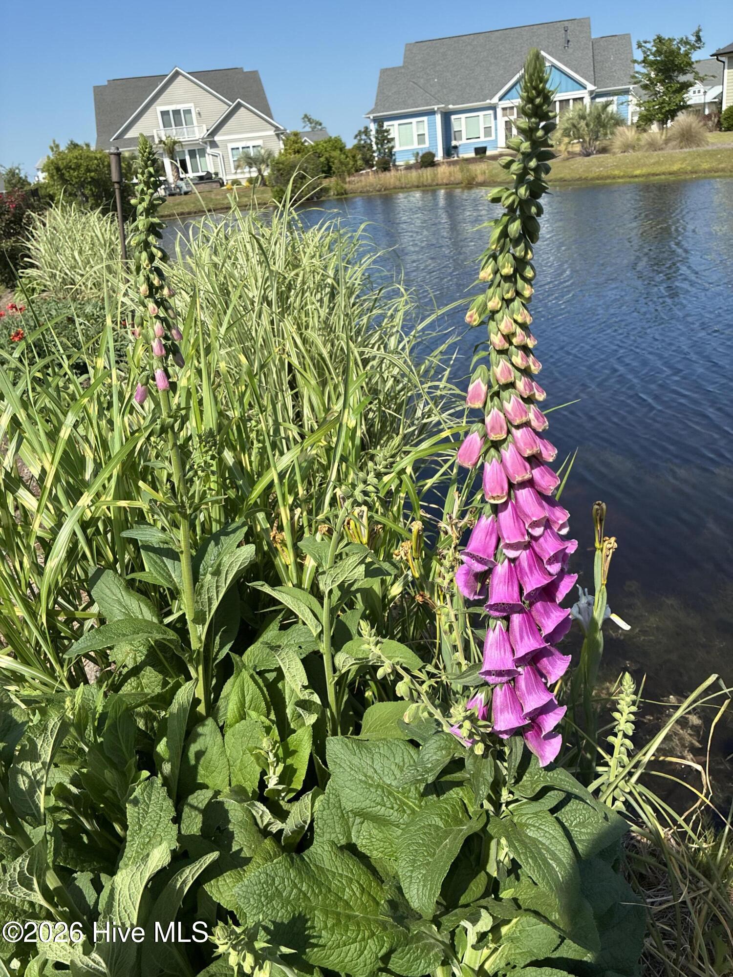 100560288 | Photo 116