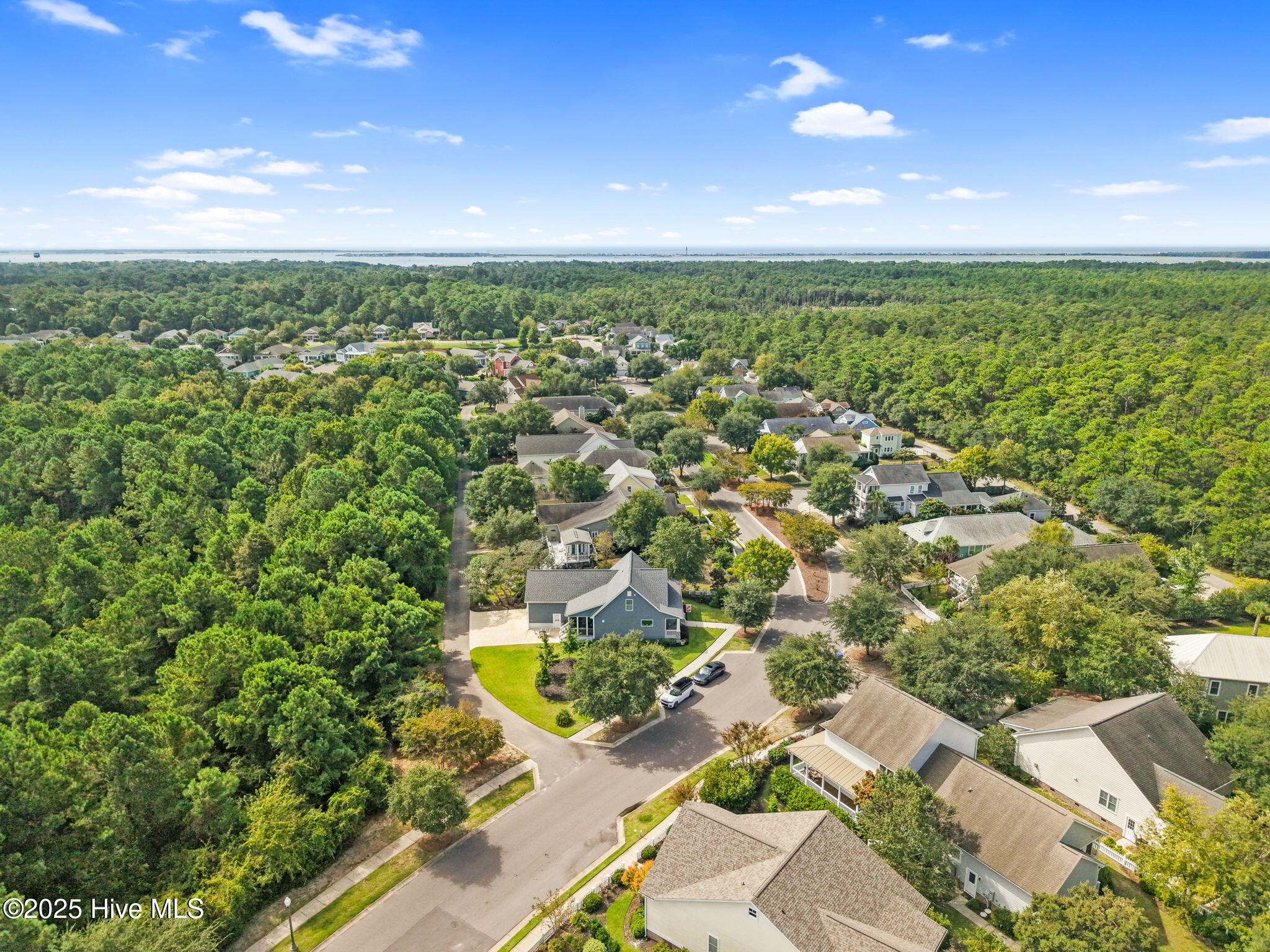 100530227 | Photo 56