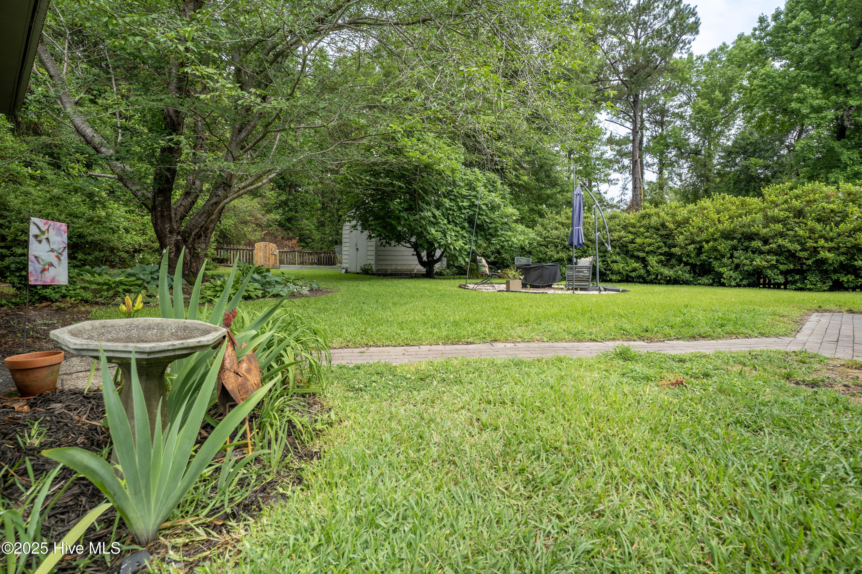 100510654 | Photo 14