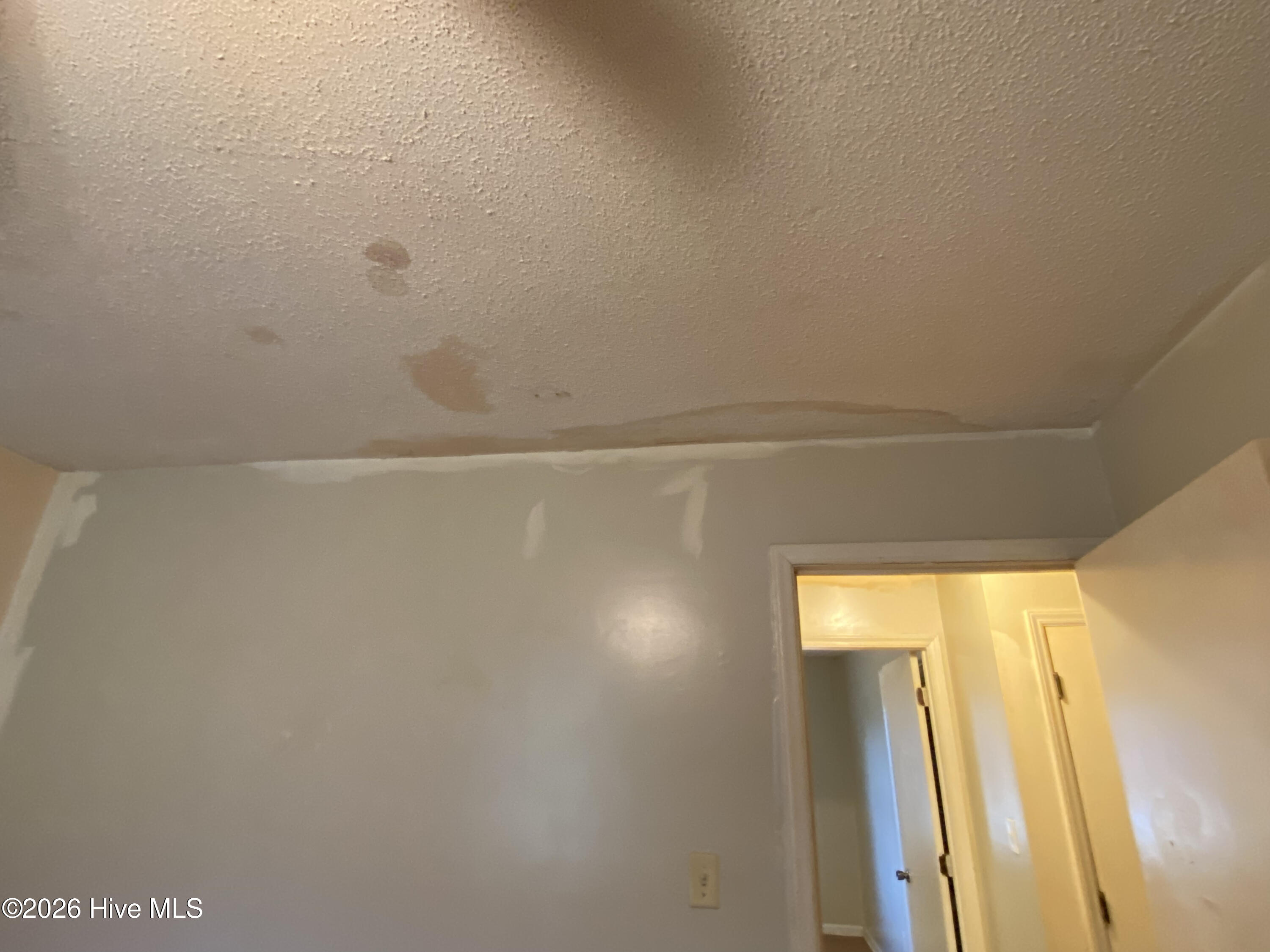 100561609 | Photo 12