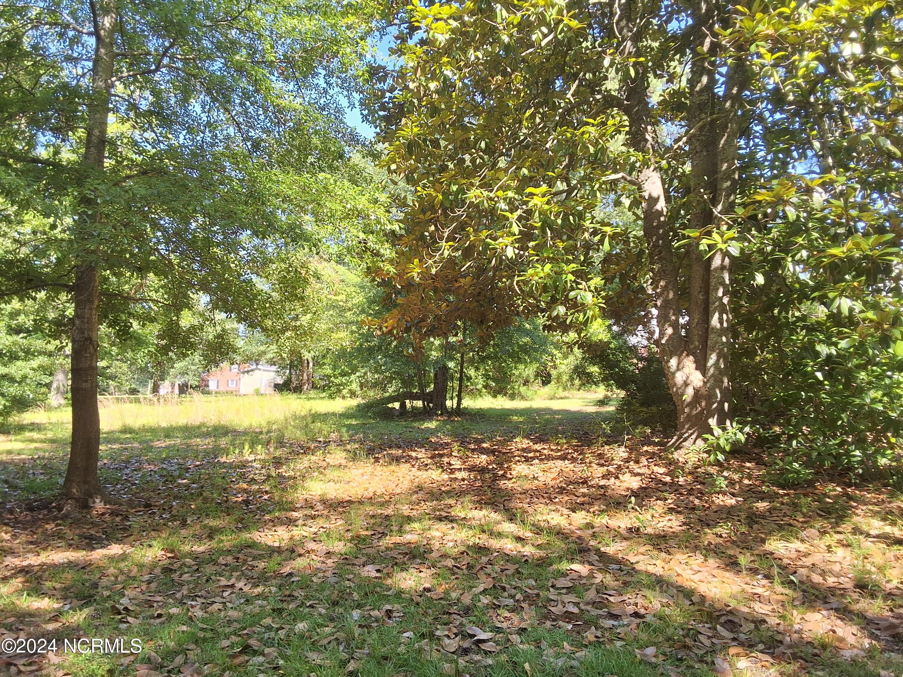 201 E Bell Street, Tabor City, NC, 28463