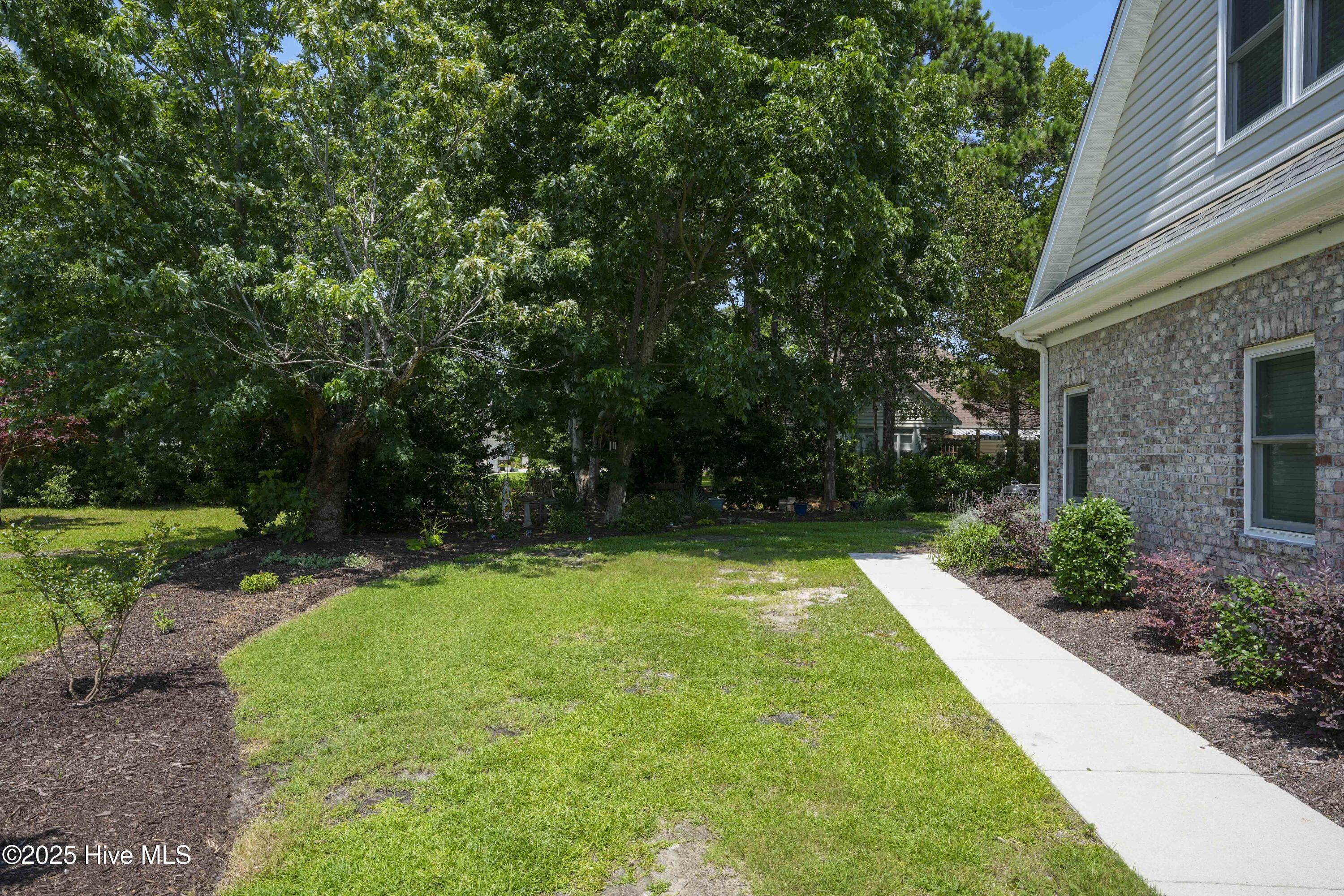 100515655 | Photo 40