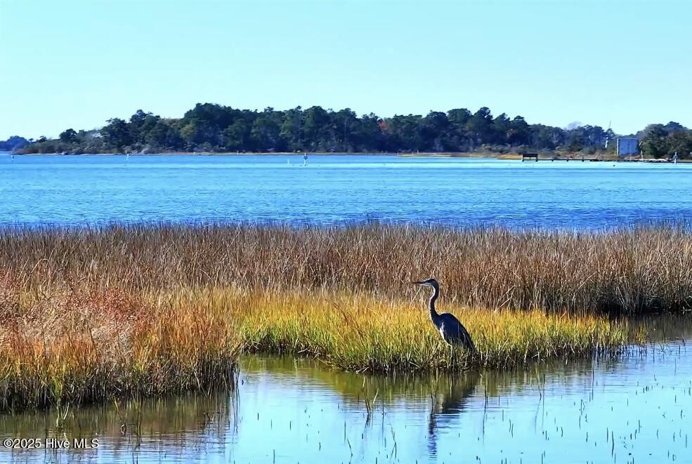 100542107 | Photo 21