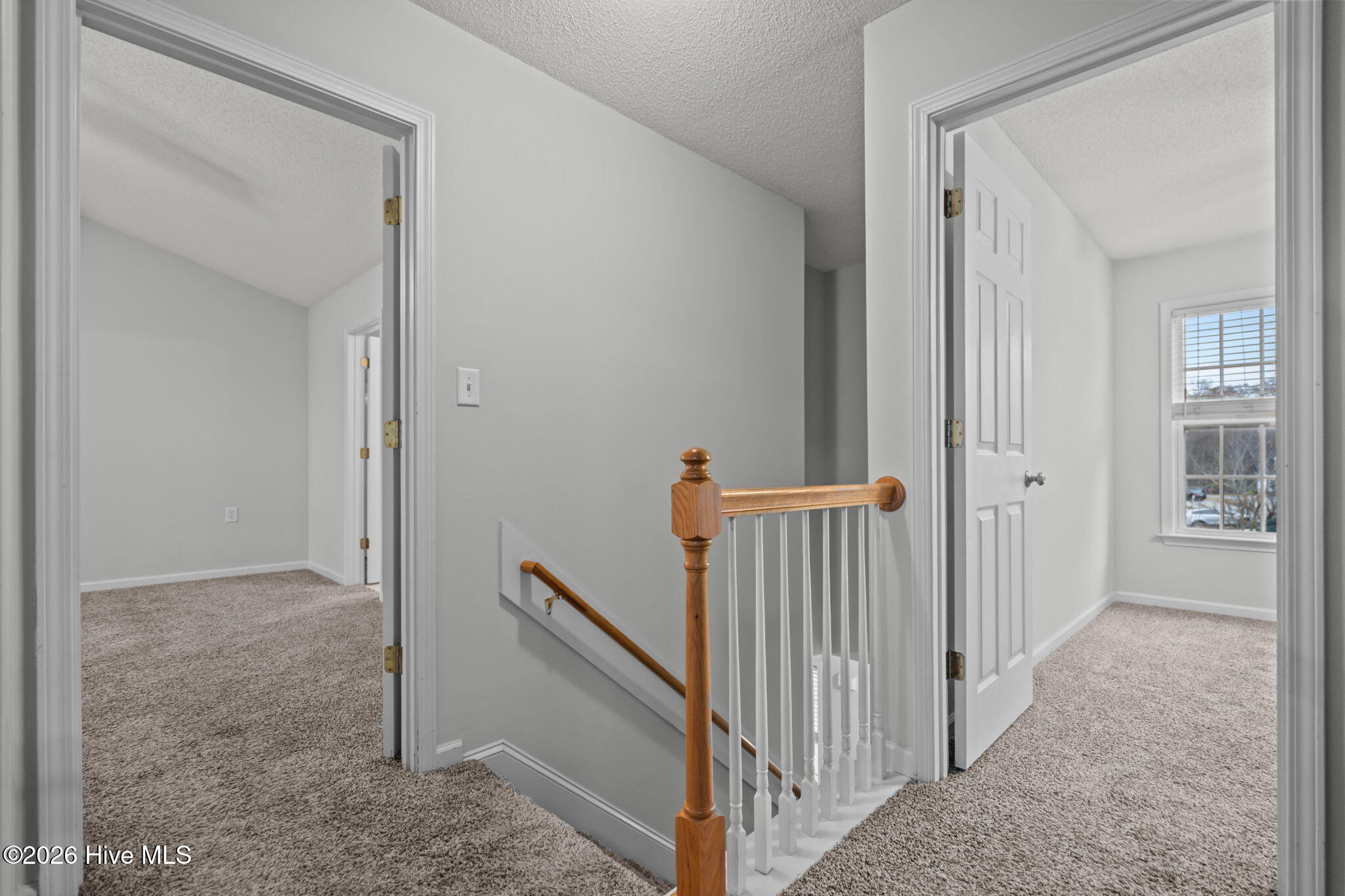 100558076 | Photo 22