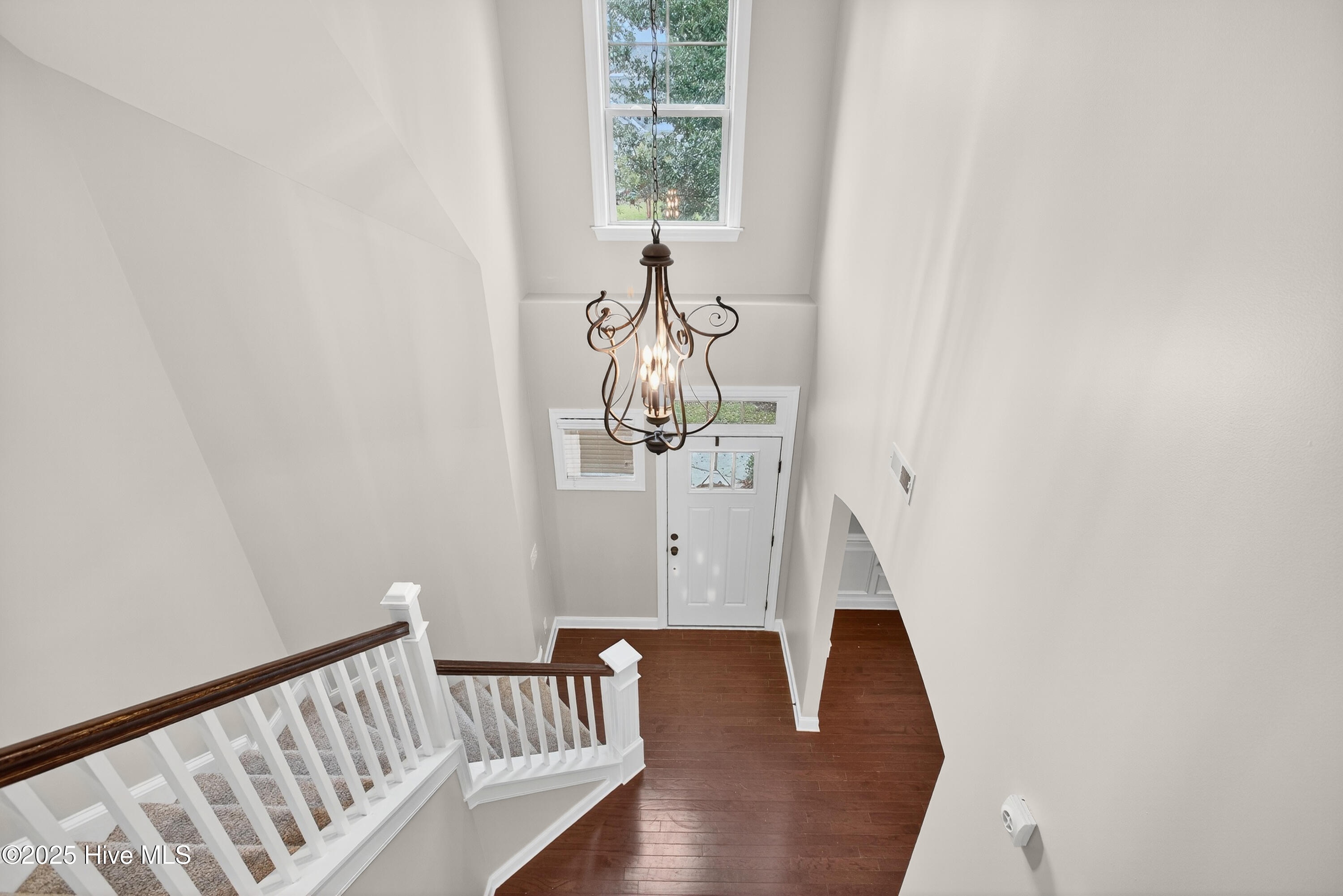 100534677 | Photo 37