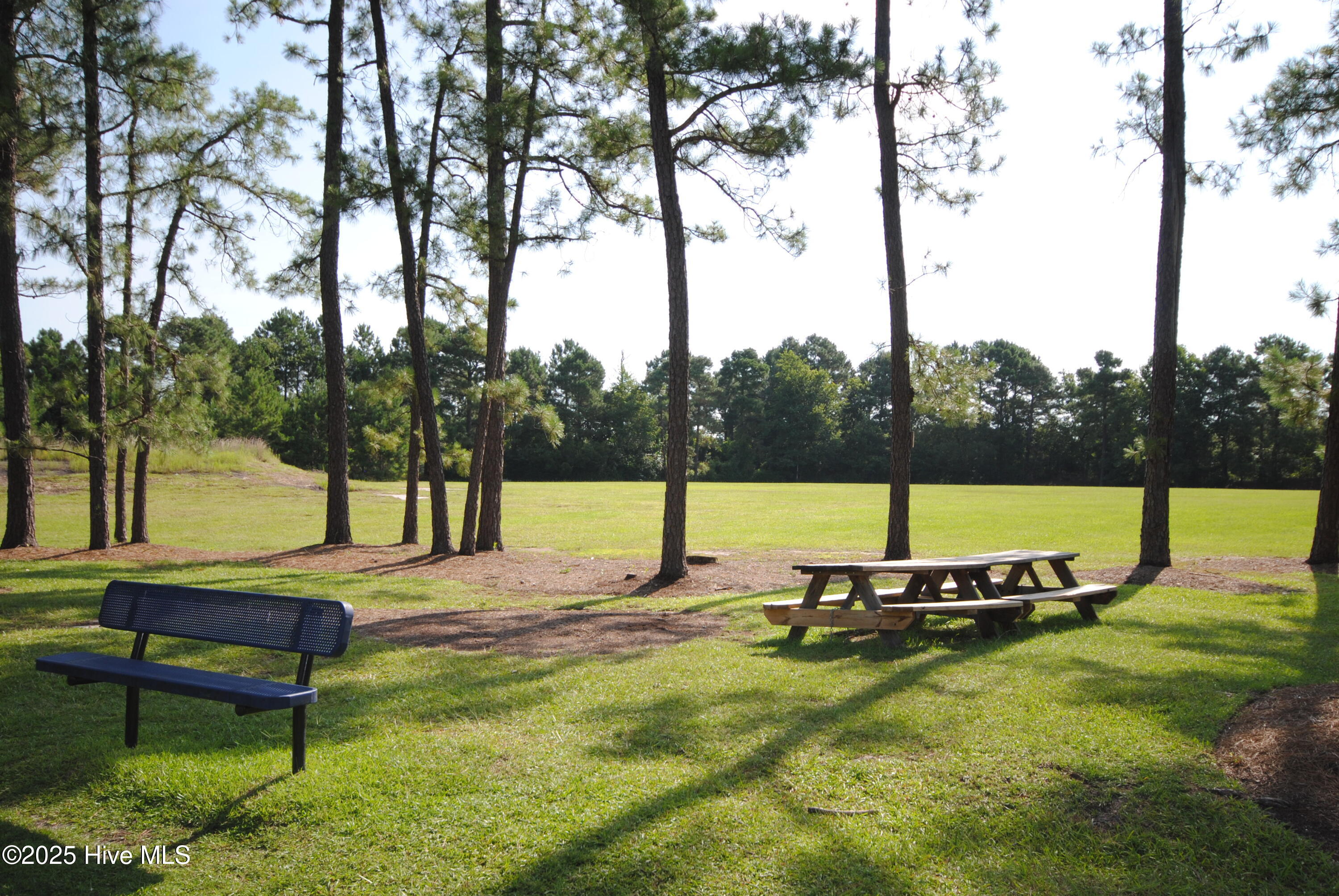 100535783 | Photo 46