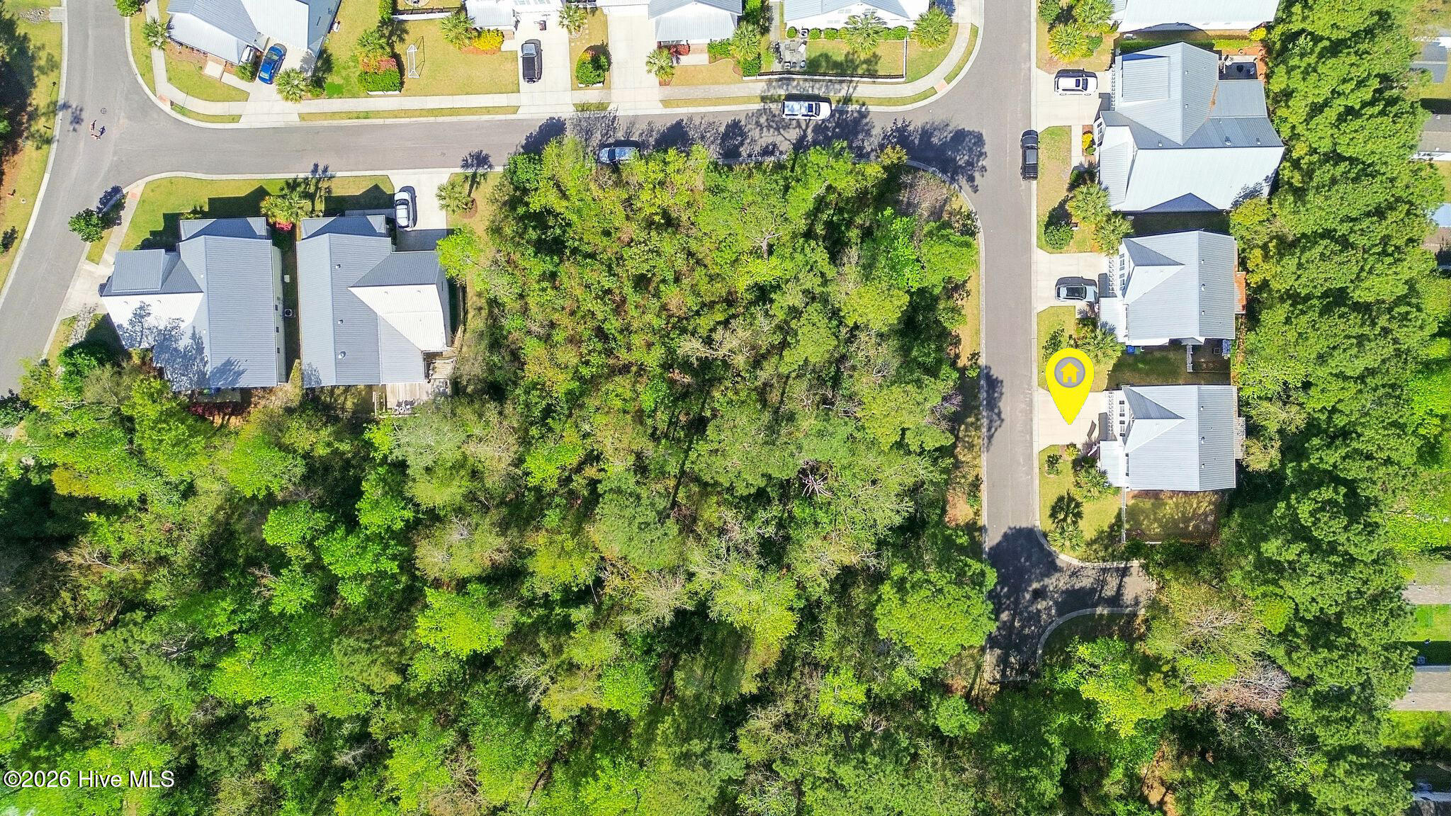 100565220 | Photo 66