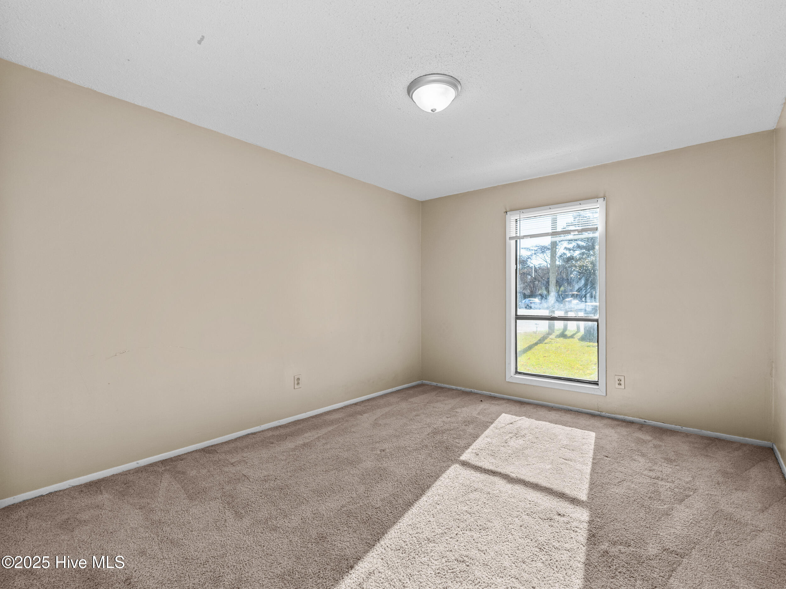 100540466 | Photo 15