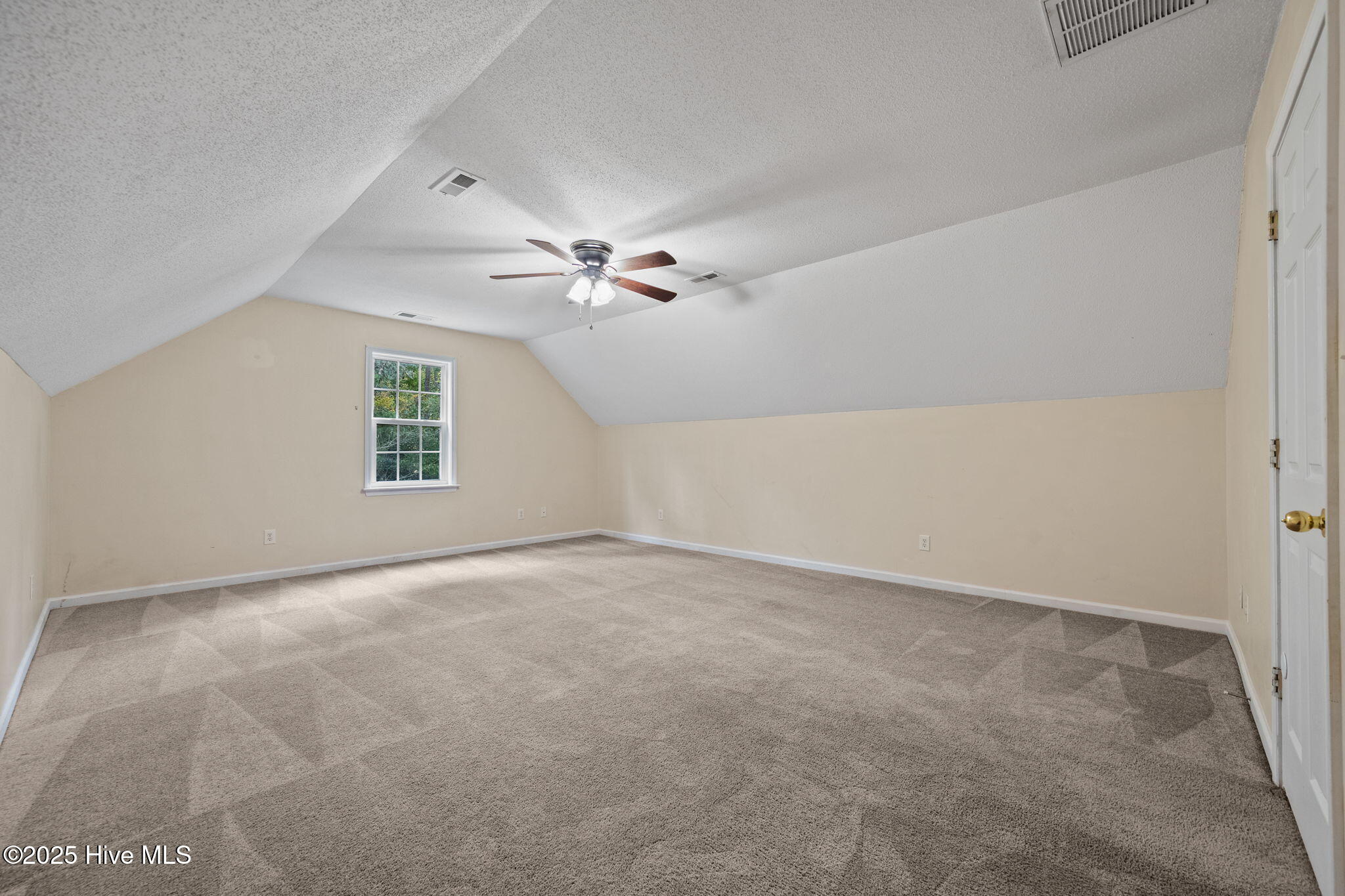 100565429 | Photo 25