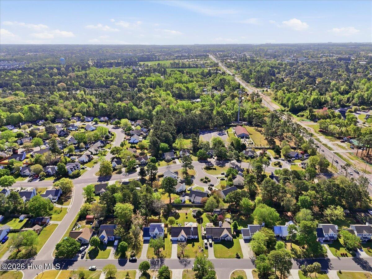 100565579 | Photo 64