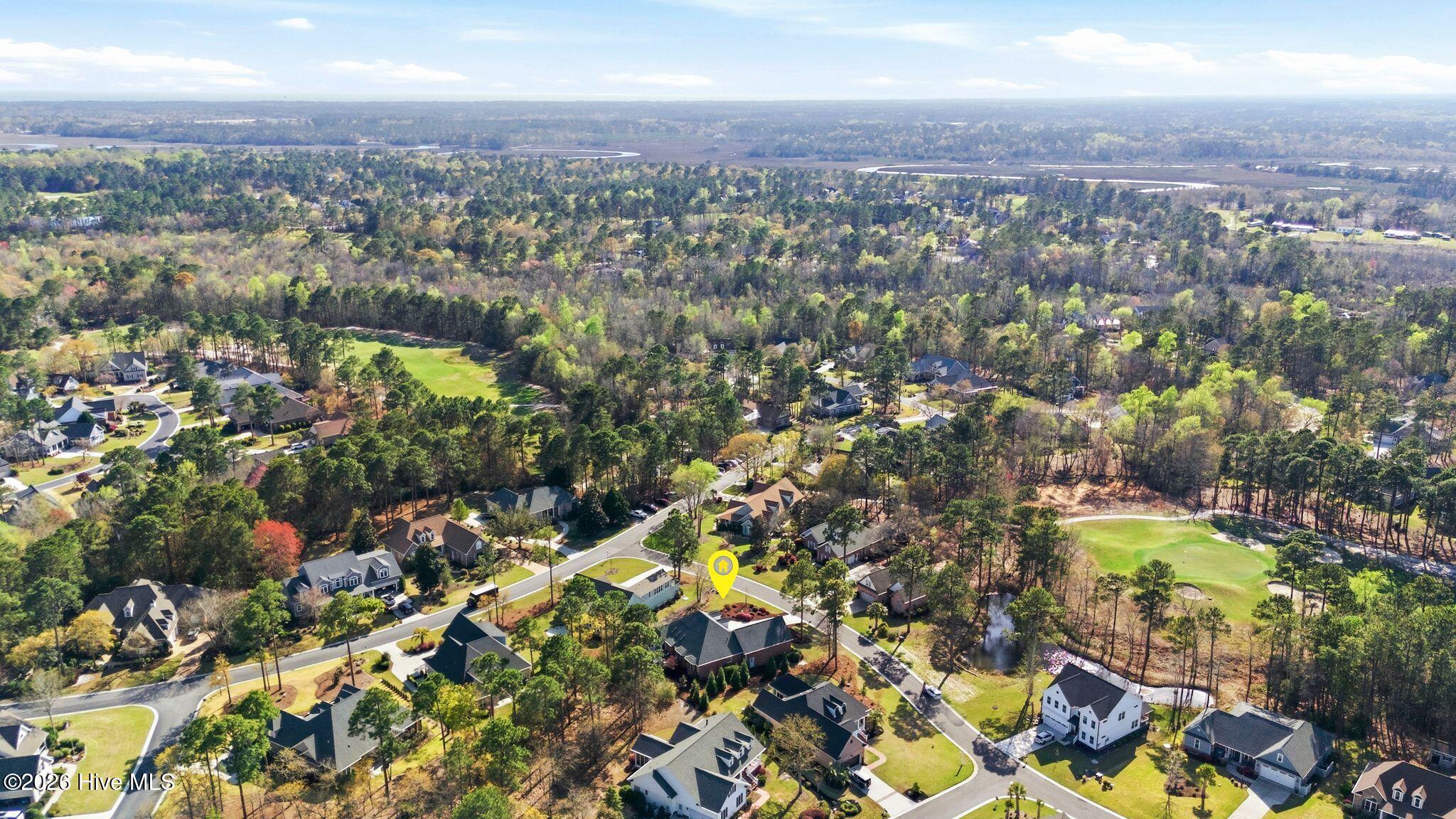 100564918 | Photo 77