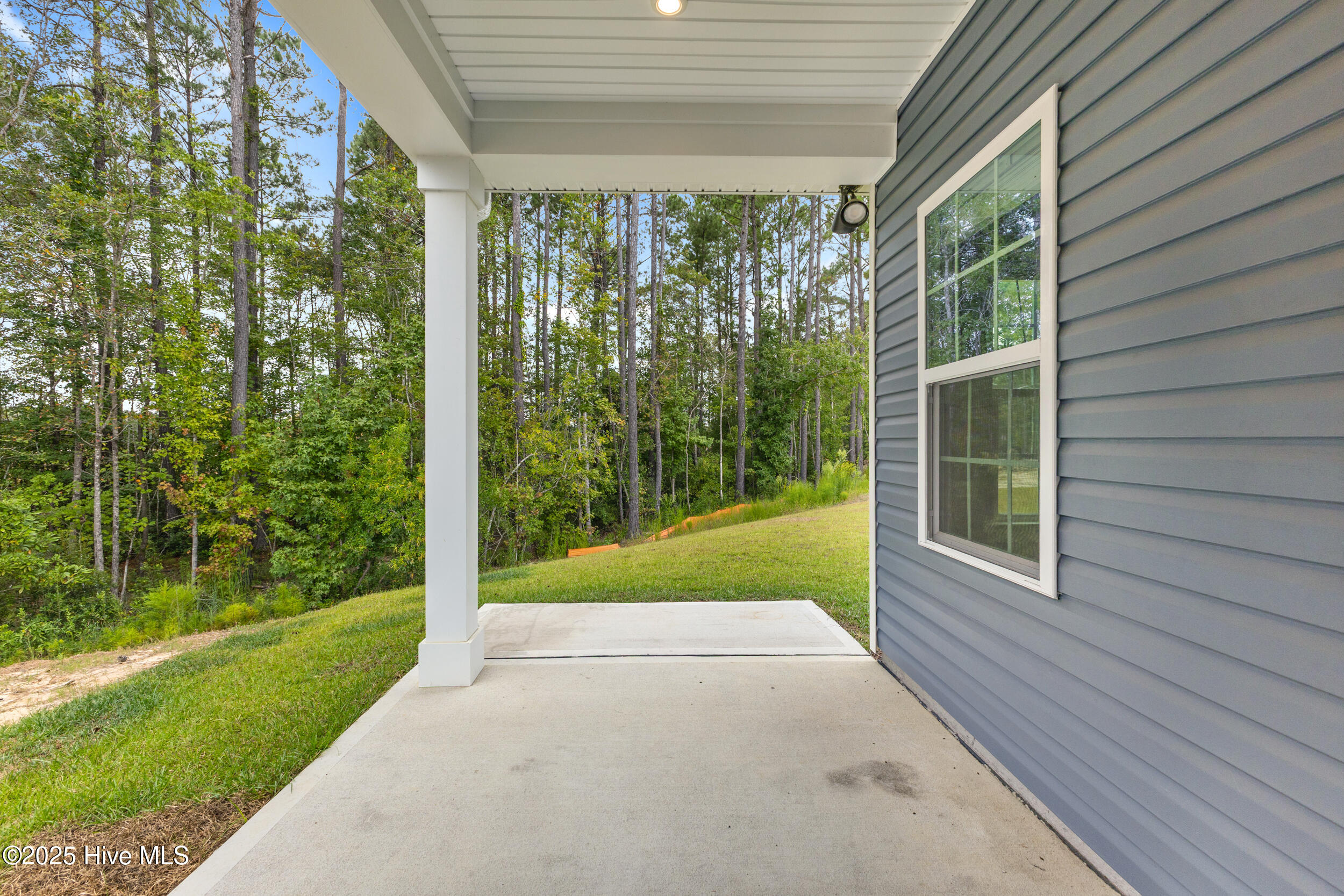 100530232 | Photo 23