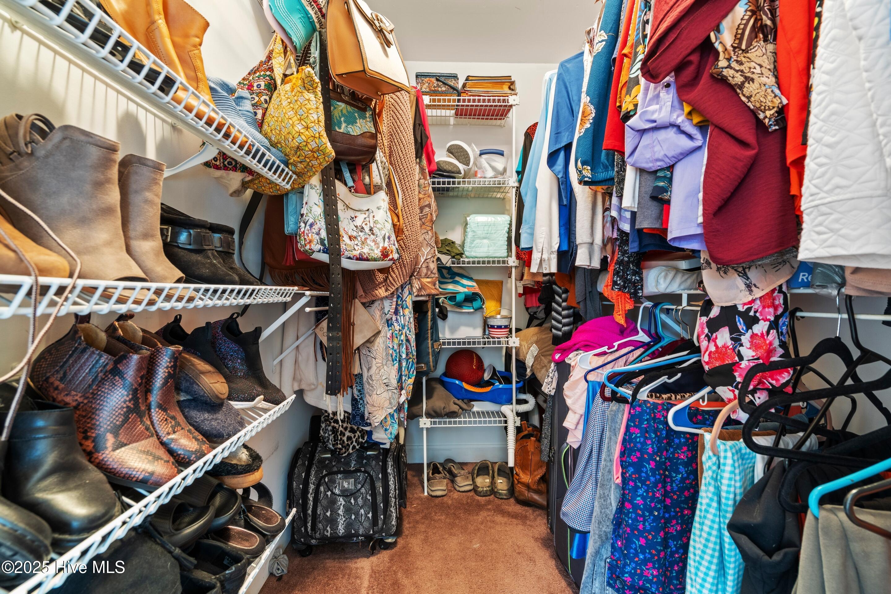 100543561 | Photo 39