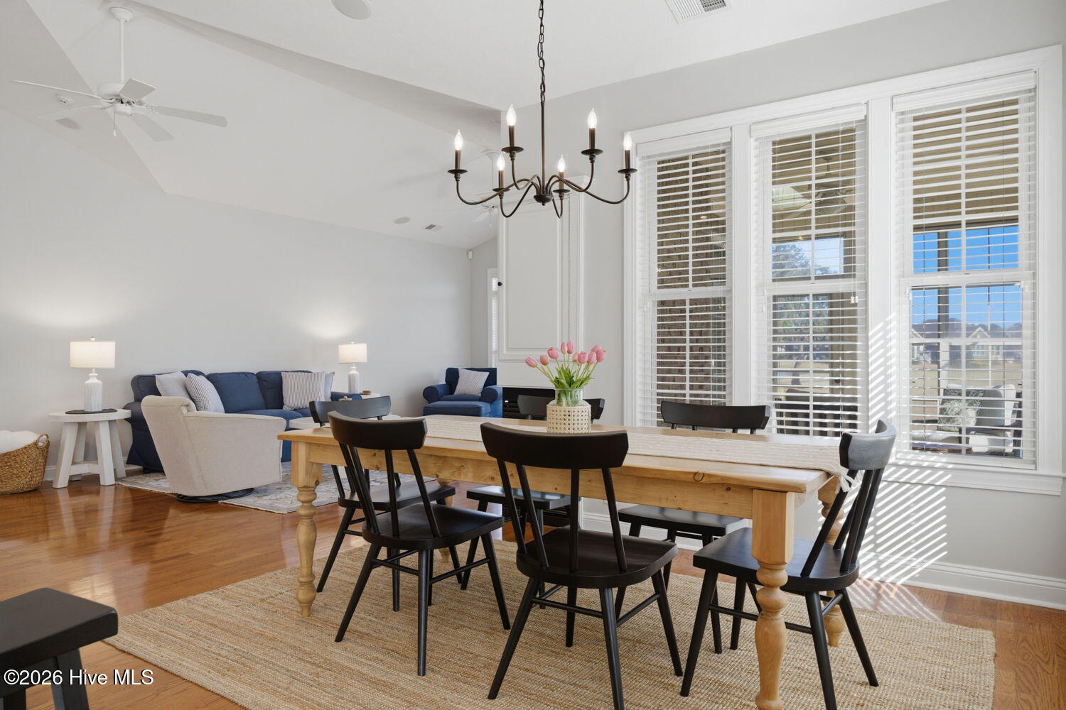 100555099 | Photo 16