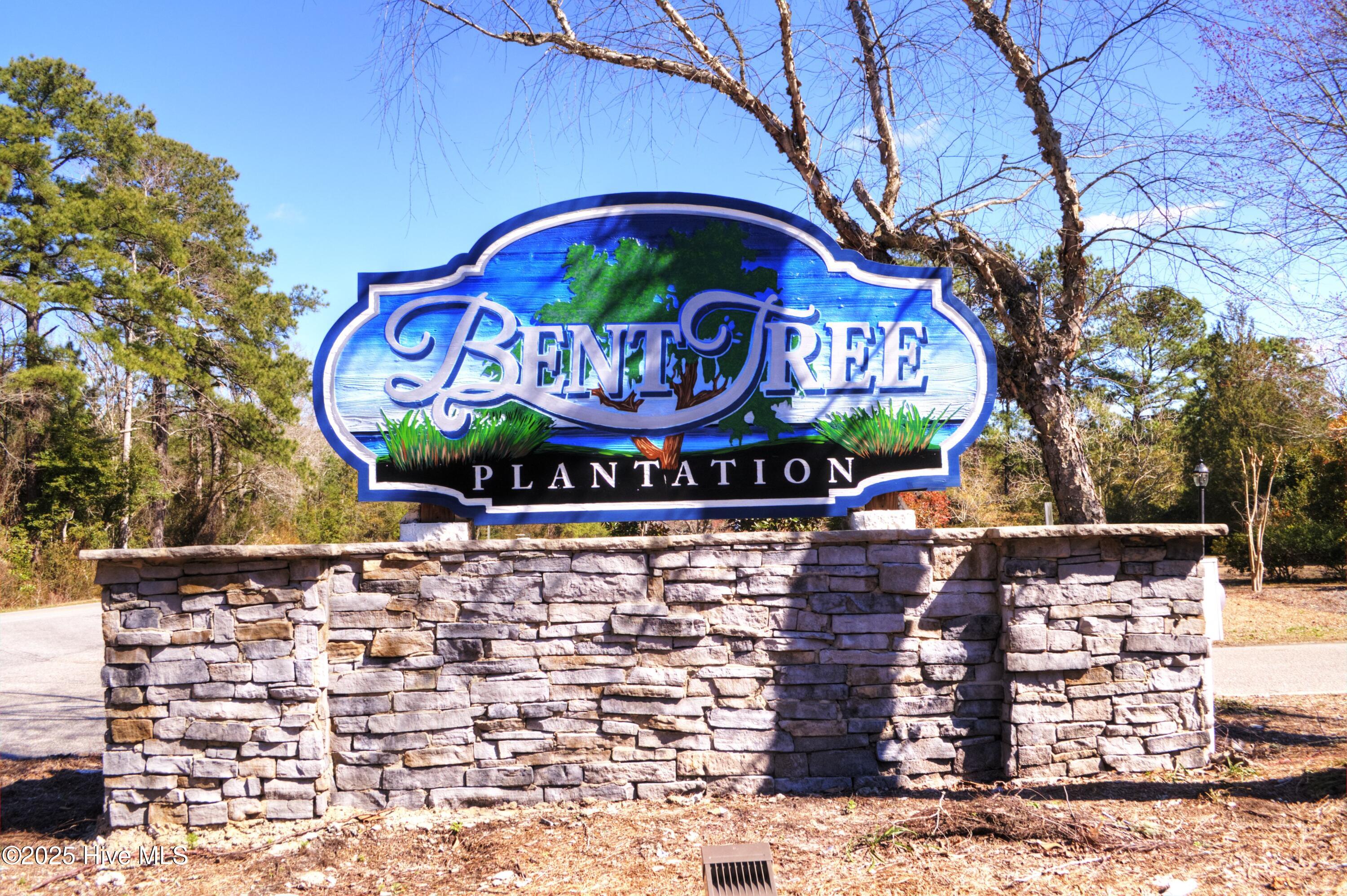 100526298 | Photo 44