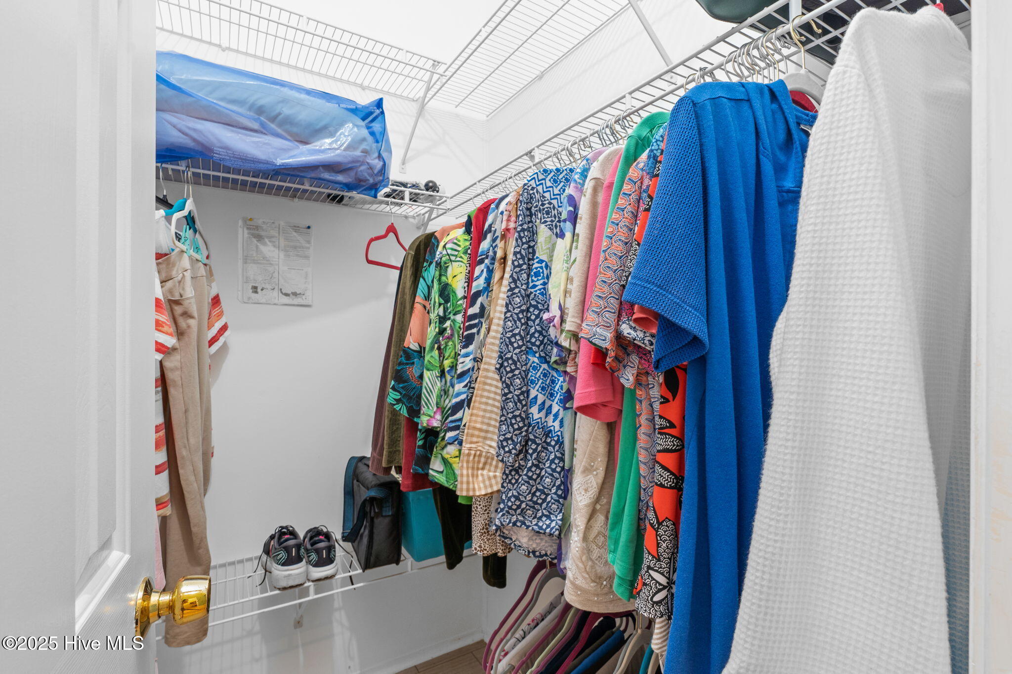 100527656 | Photo 28