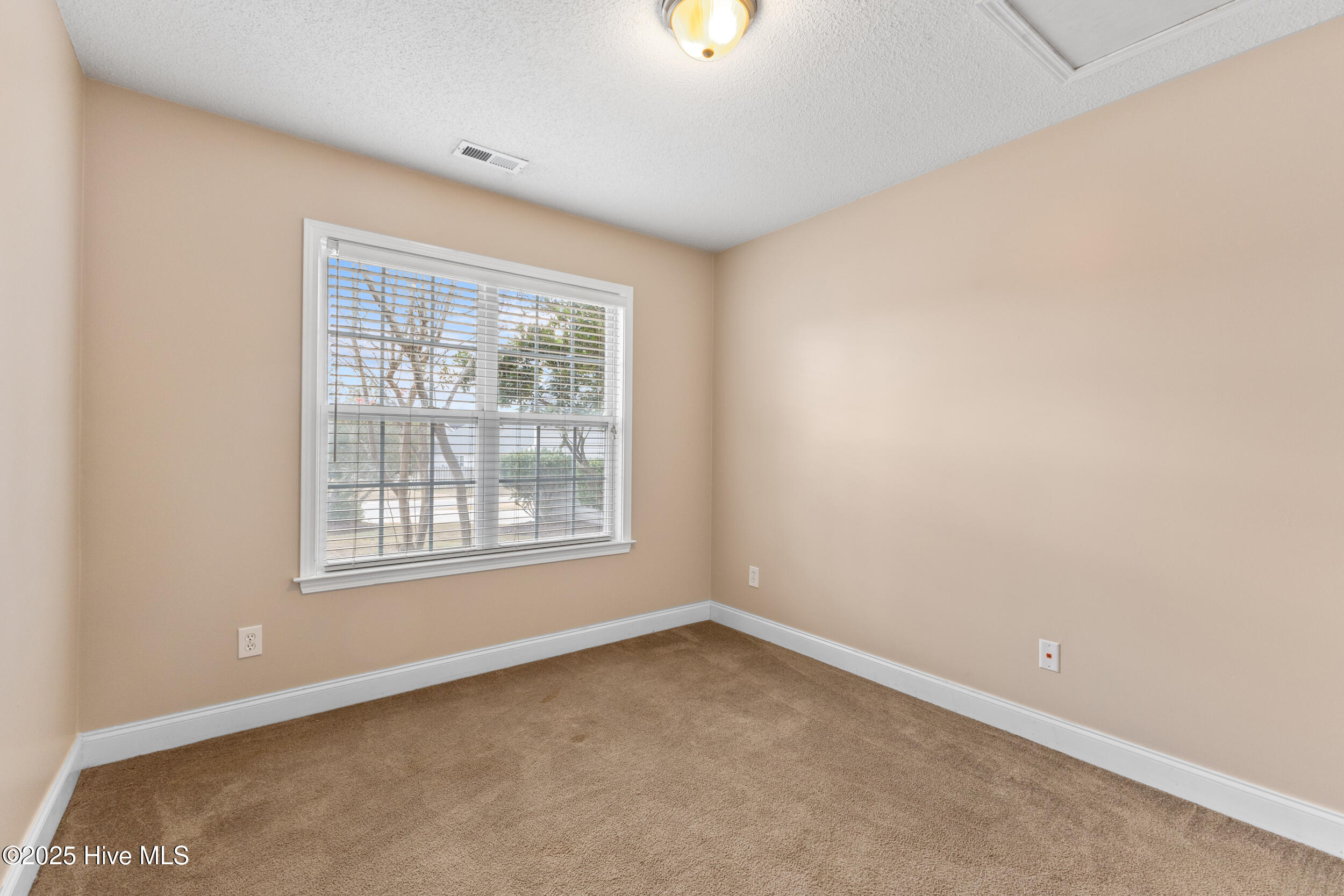 100539988 | Photo 25