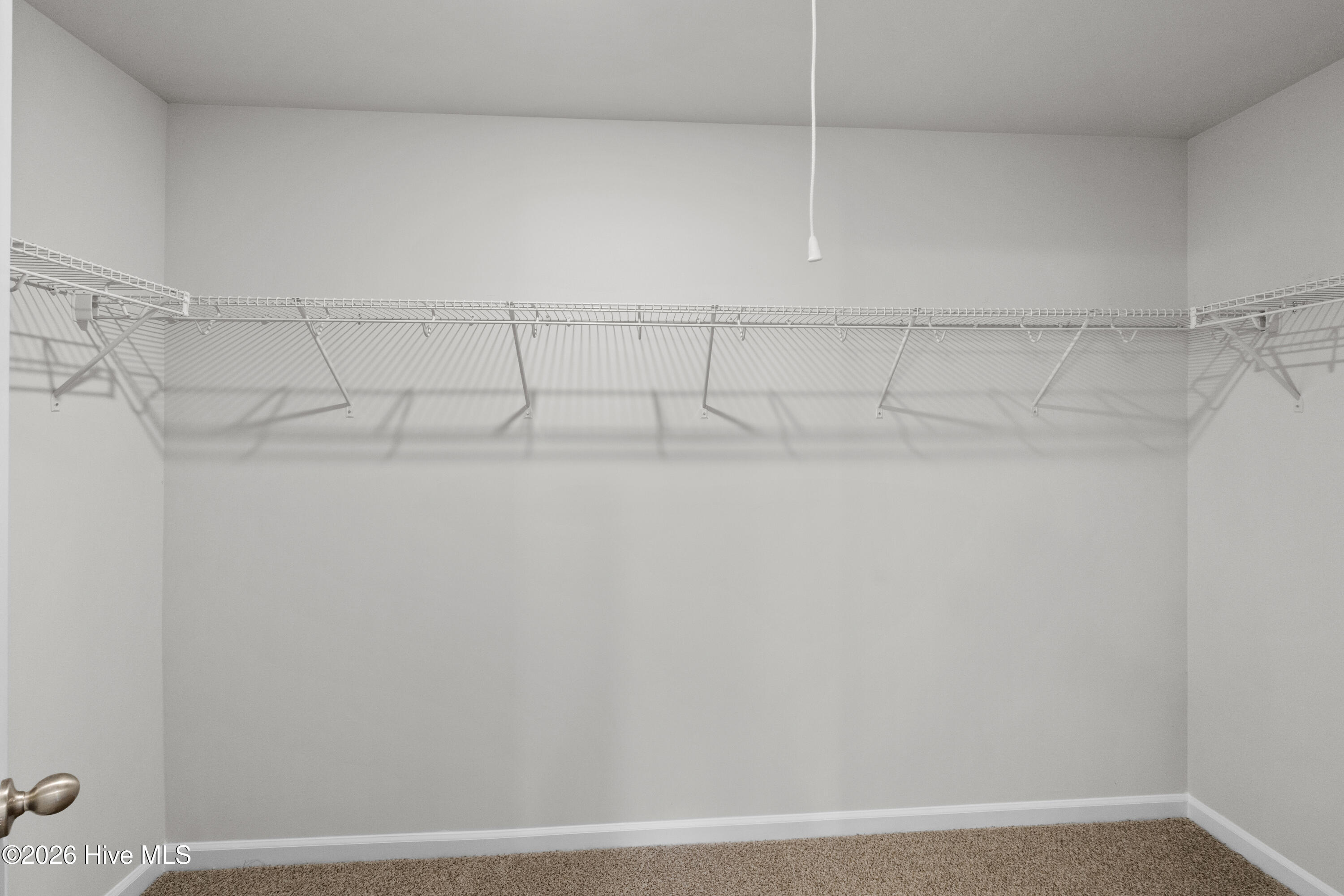 100552146 | Photo 23