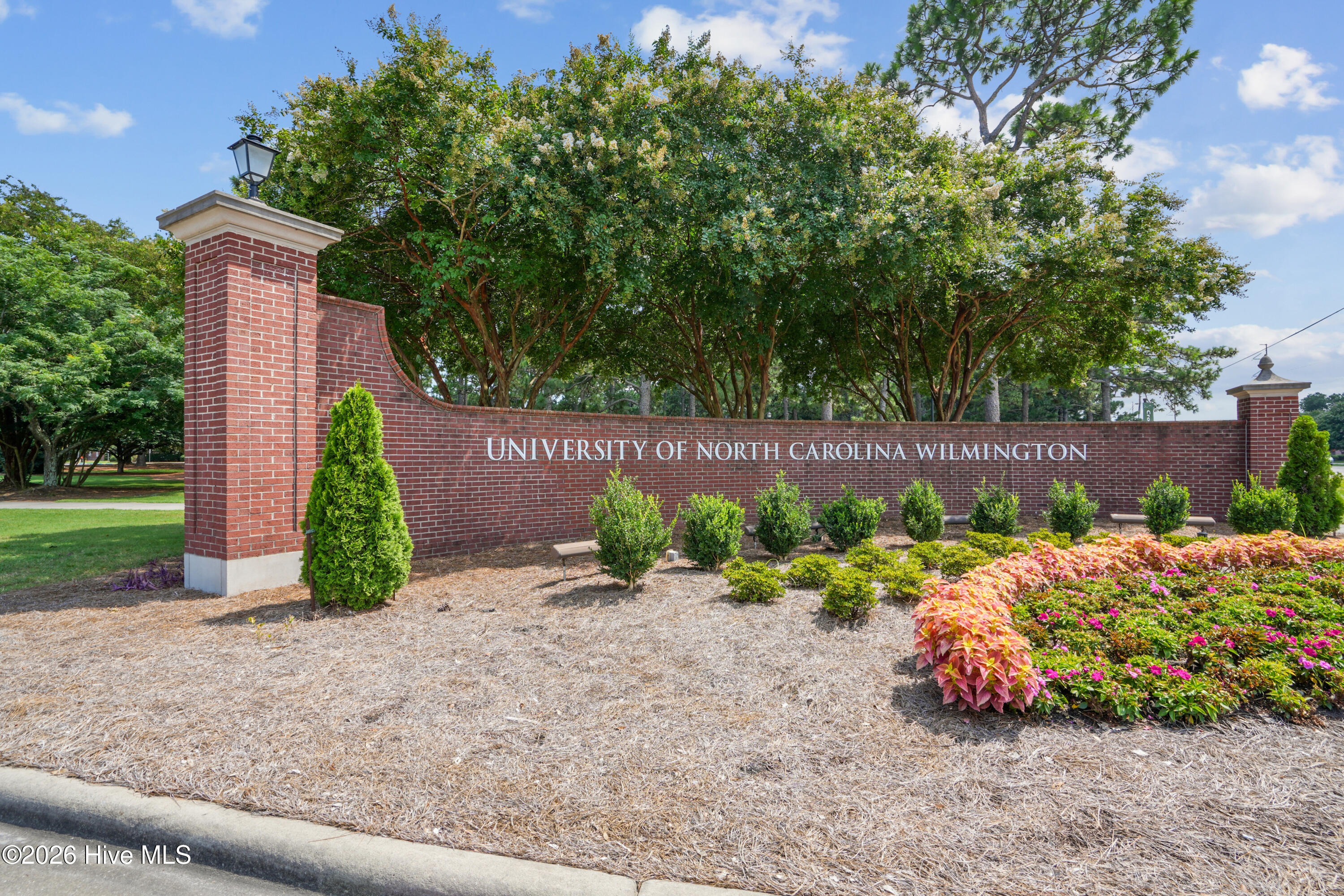 100563879 | Photo 12