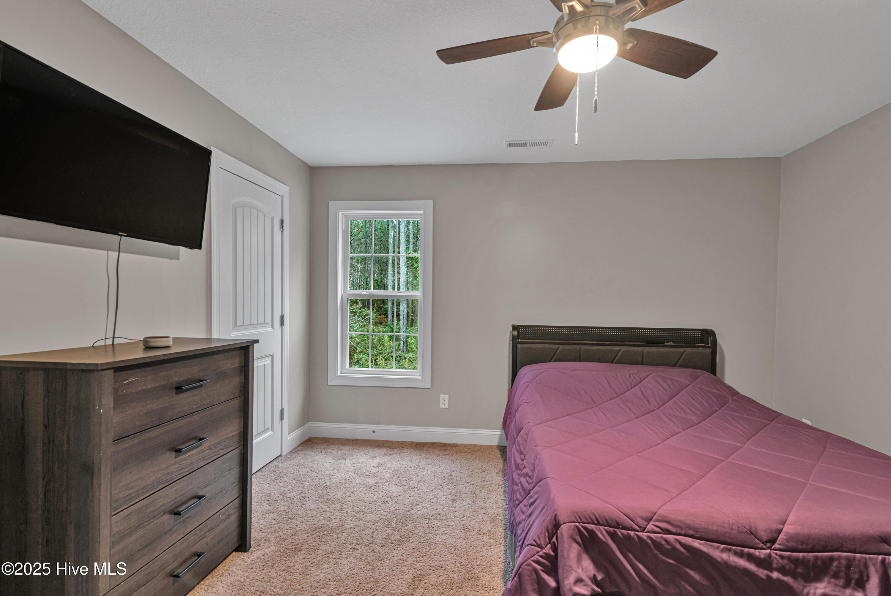 100545254 | Photo 34