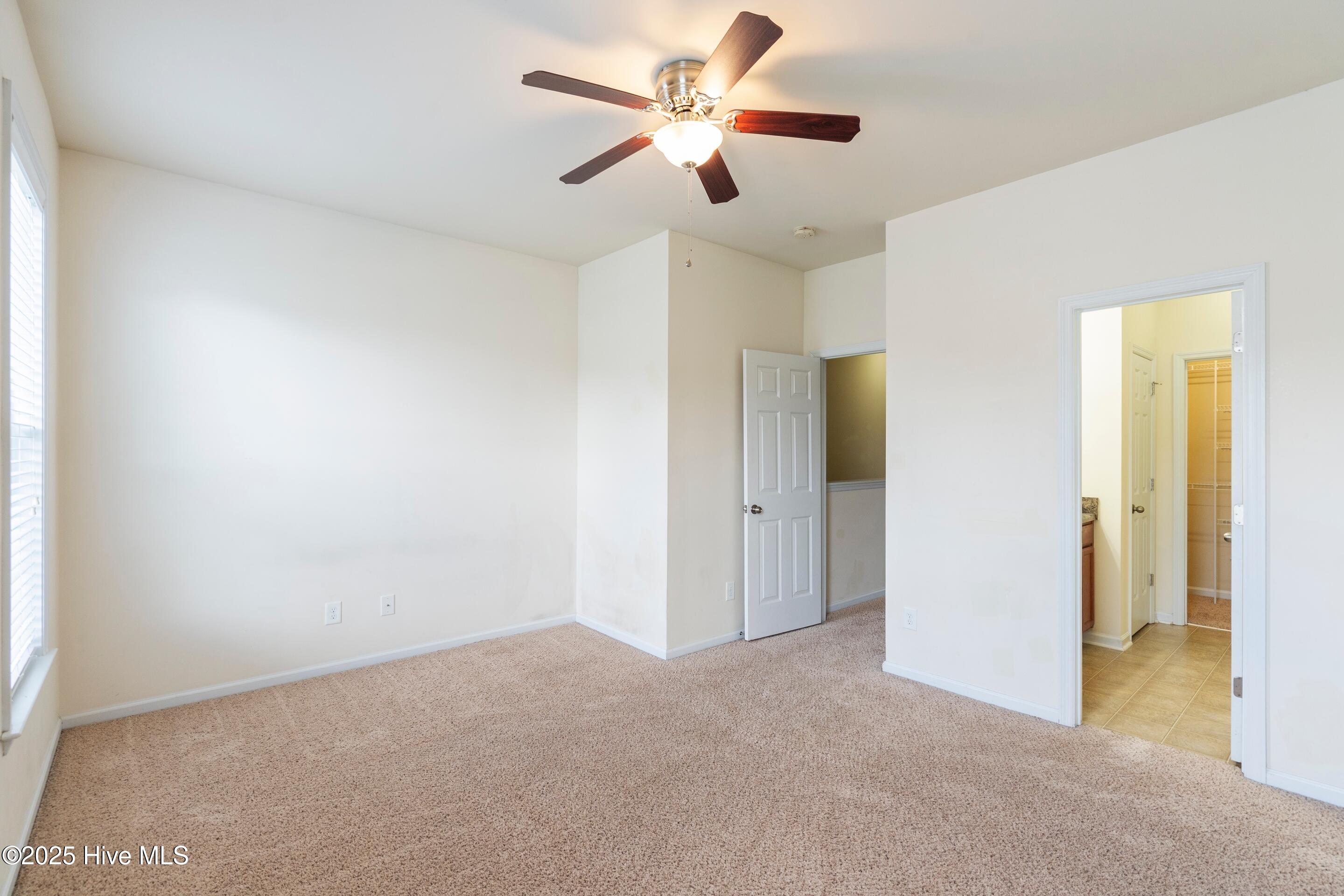 100525972 | Photo 26