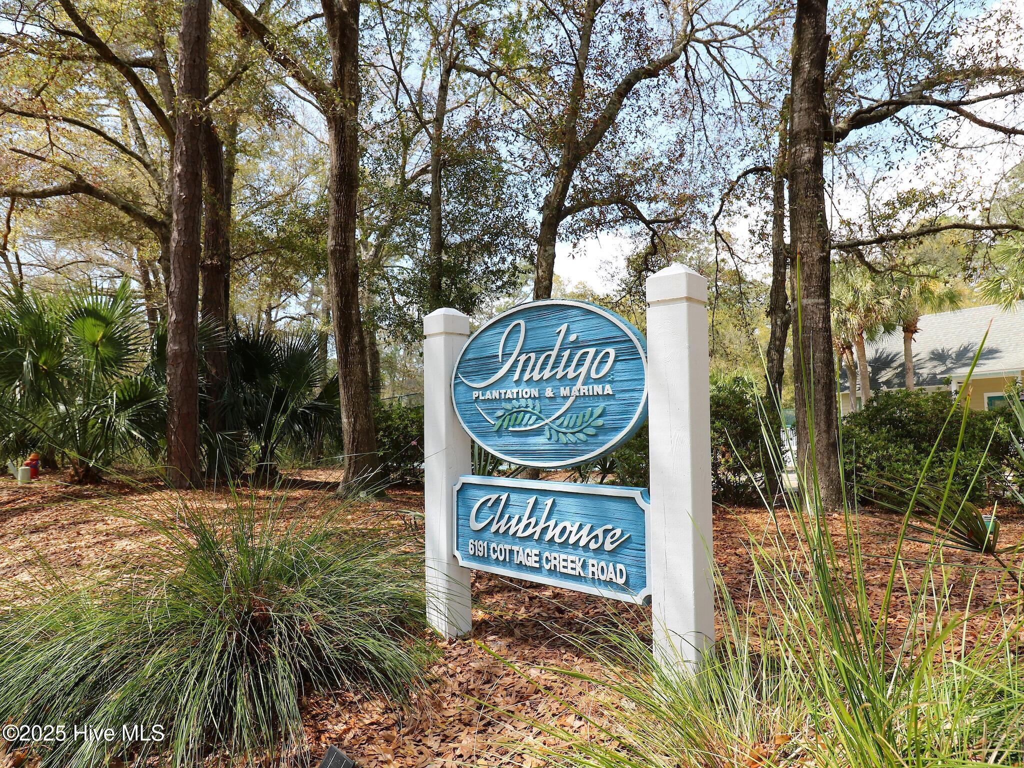 100504796 | Photo 67